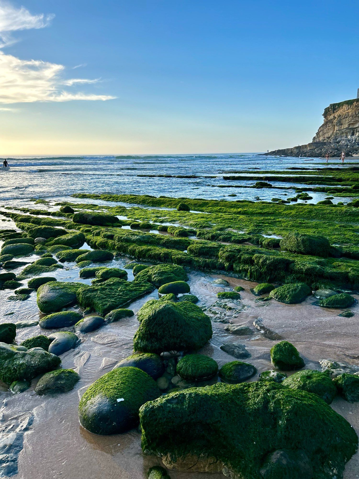 Rocky beach covered with green algae, with waves approaching the shore and a cliff in the background.