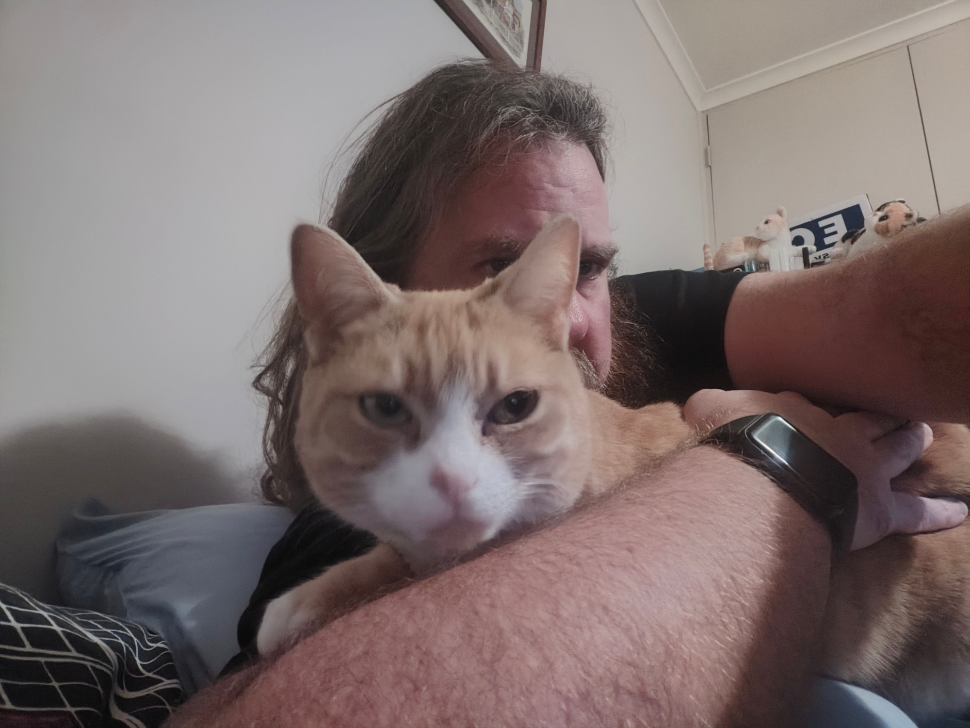 A photo of me cuddling my little kitty cat Amber. She's looking very happy to be getting attention 
