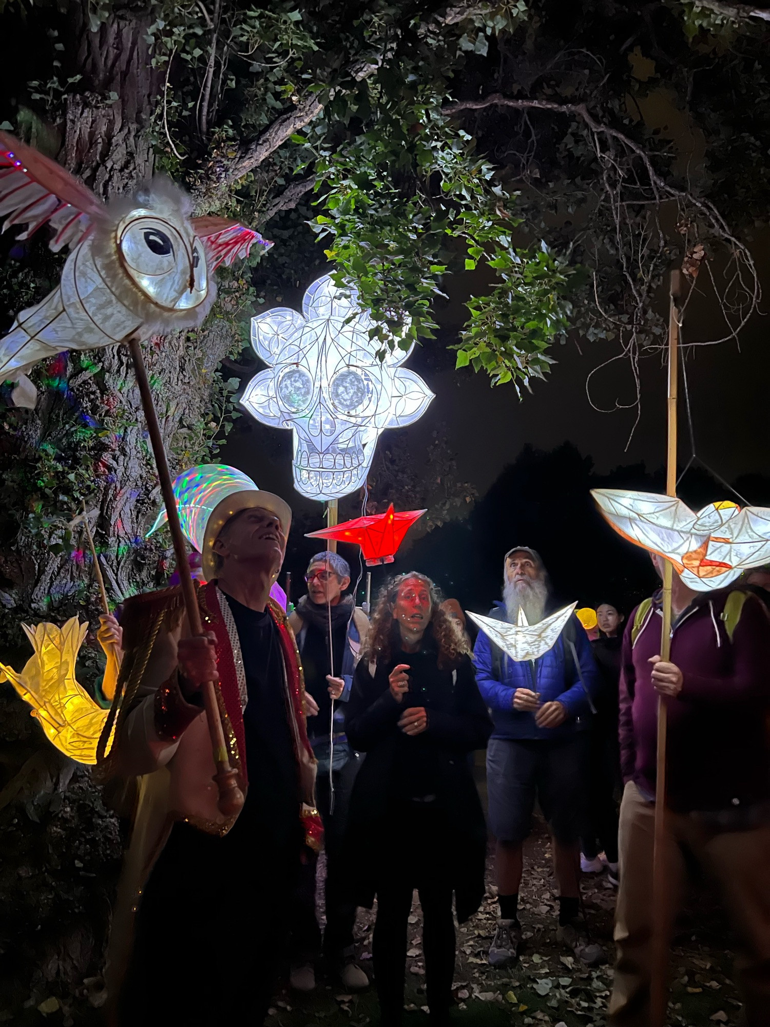 A white Day of the Dead skull-shaped lantern flanked by two owl-shaped lanterns, also white