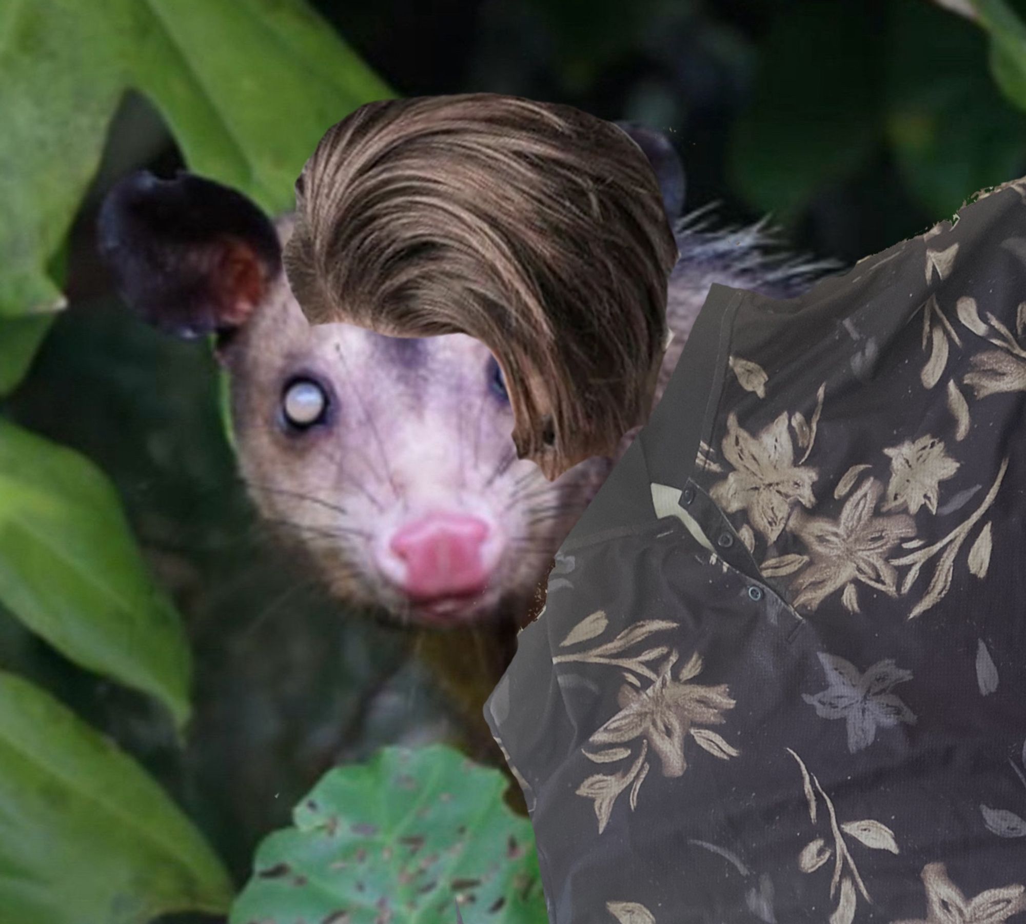 Common opossum with a stylish leaf shirt and swoopy hair