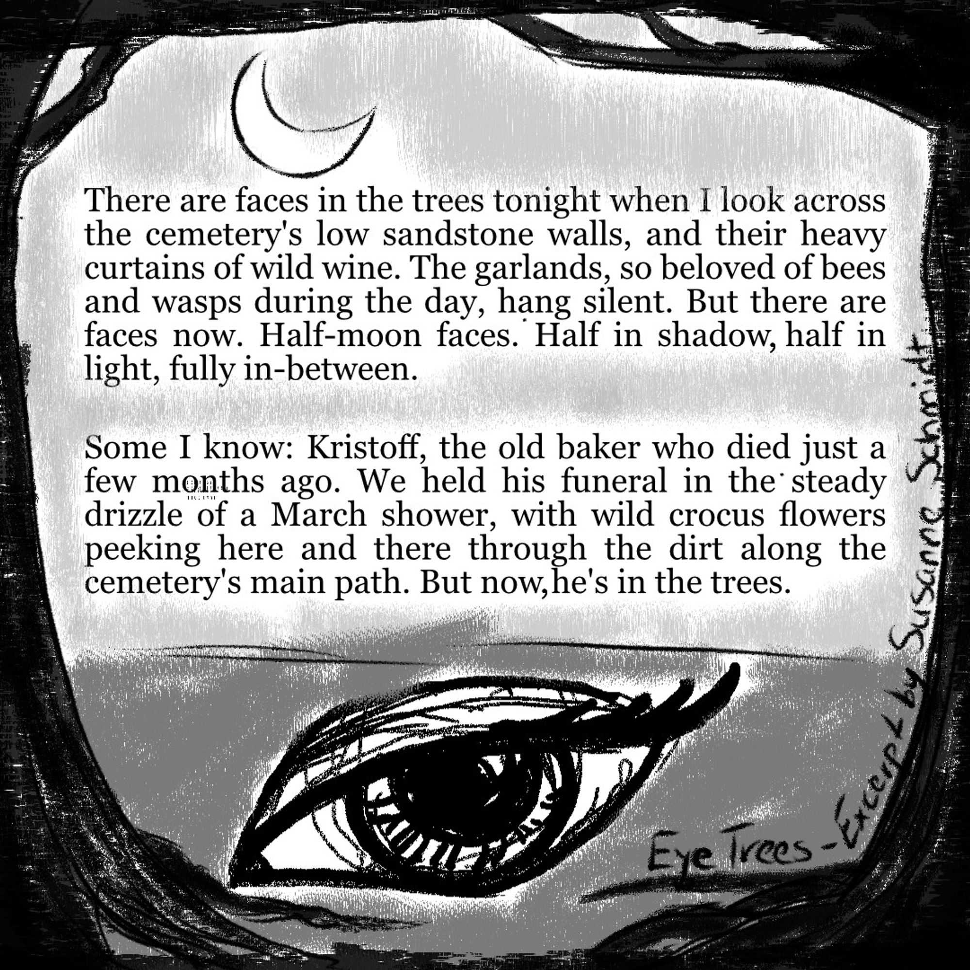 A pencil style drawing of a giant eye between black trees in front of a vague night landscape. It's an excerpt from a story called Eye Trees by Susanne Schmidt and reads:
There are faces in the trees tonight. When I look across the cemetery's low sandstone walls, and their heavy curtains of wild wine. The garlands, so beloved of bees and wasps during the day, hang silent. But there are faces now. Half-moon faces. Half in shadow, half in light, fully in-between.
Some I know: Kristoff, the old baker who died just a few months ago. We held his funeral in the steady drizzle of a March shower, with wild crocus flowers peeking here and there through the dirt along the cemetery's main path. But now, he's in the trees.