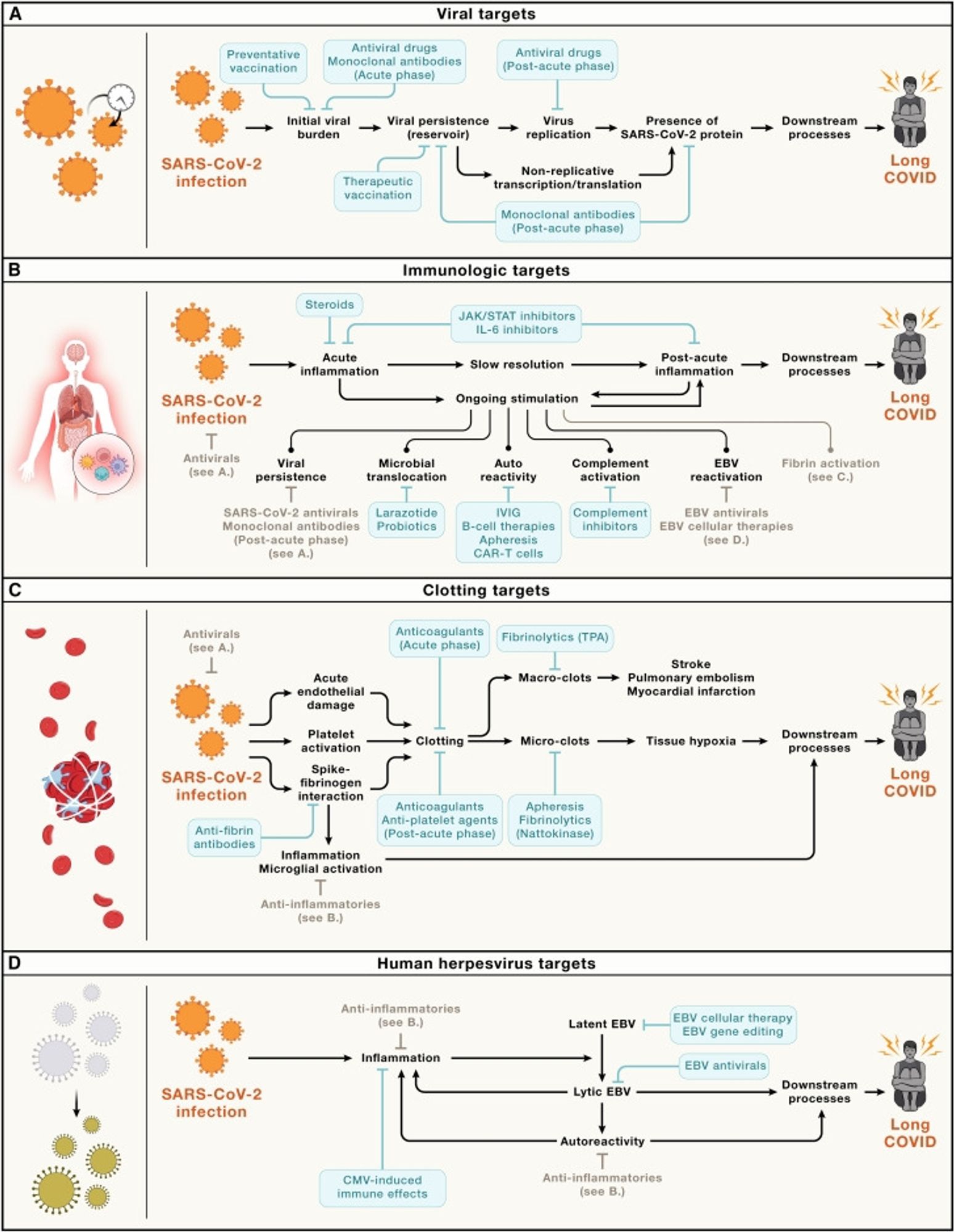 Table of viral targets