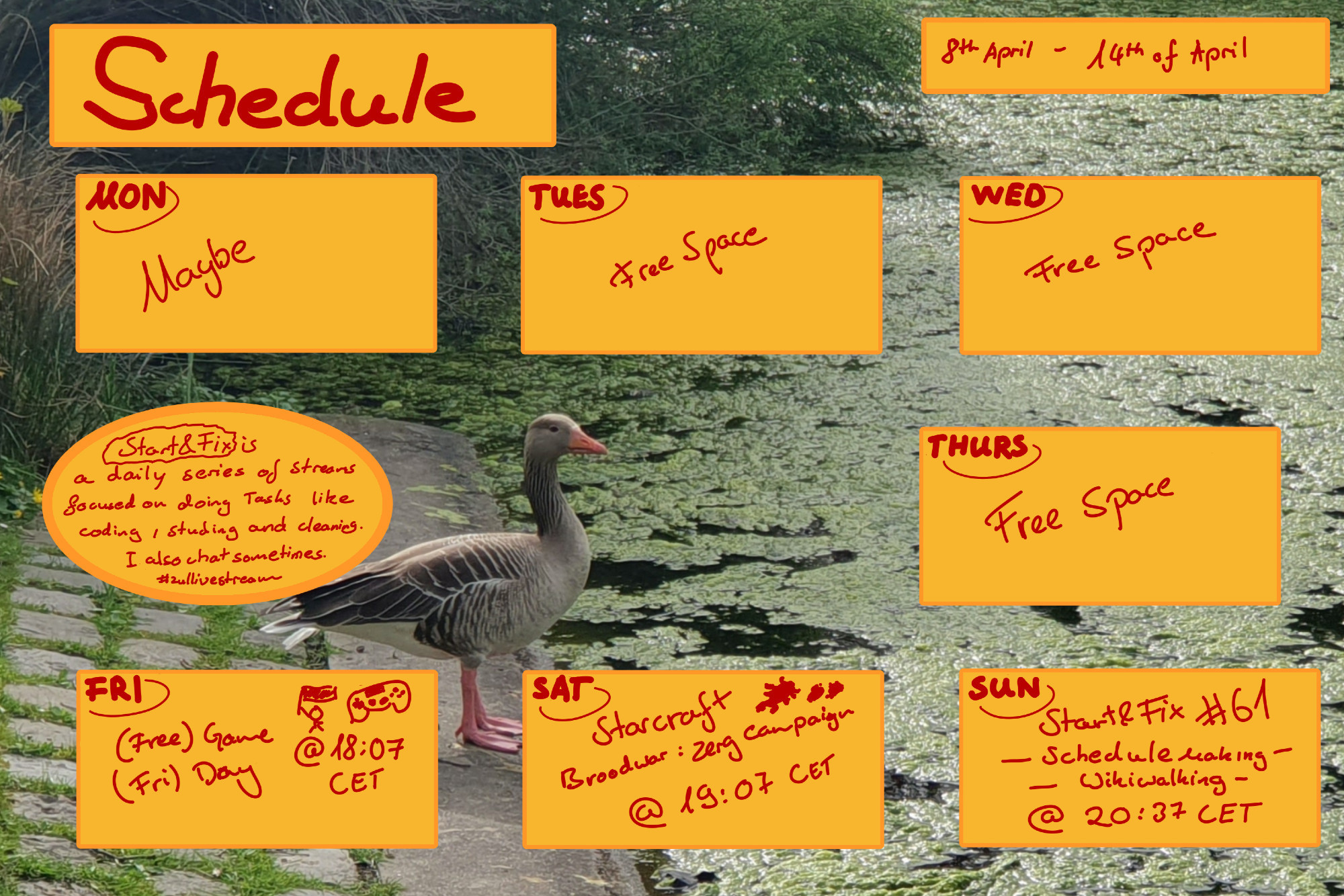 Schedule this Week - Times in CET

Possibly smth on Mon
(Free) Game (Fri)day April 12 - 6:07 PM
Starcraft Broodwar - Zerg Campaign Apr 13 - 7:07 PM
Schedulemaking & Wikiwalking Apr 14 - 8:37 PM

Picture is greylag goose in front of a pond full covered in green mossy waterplants