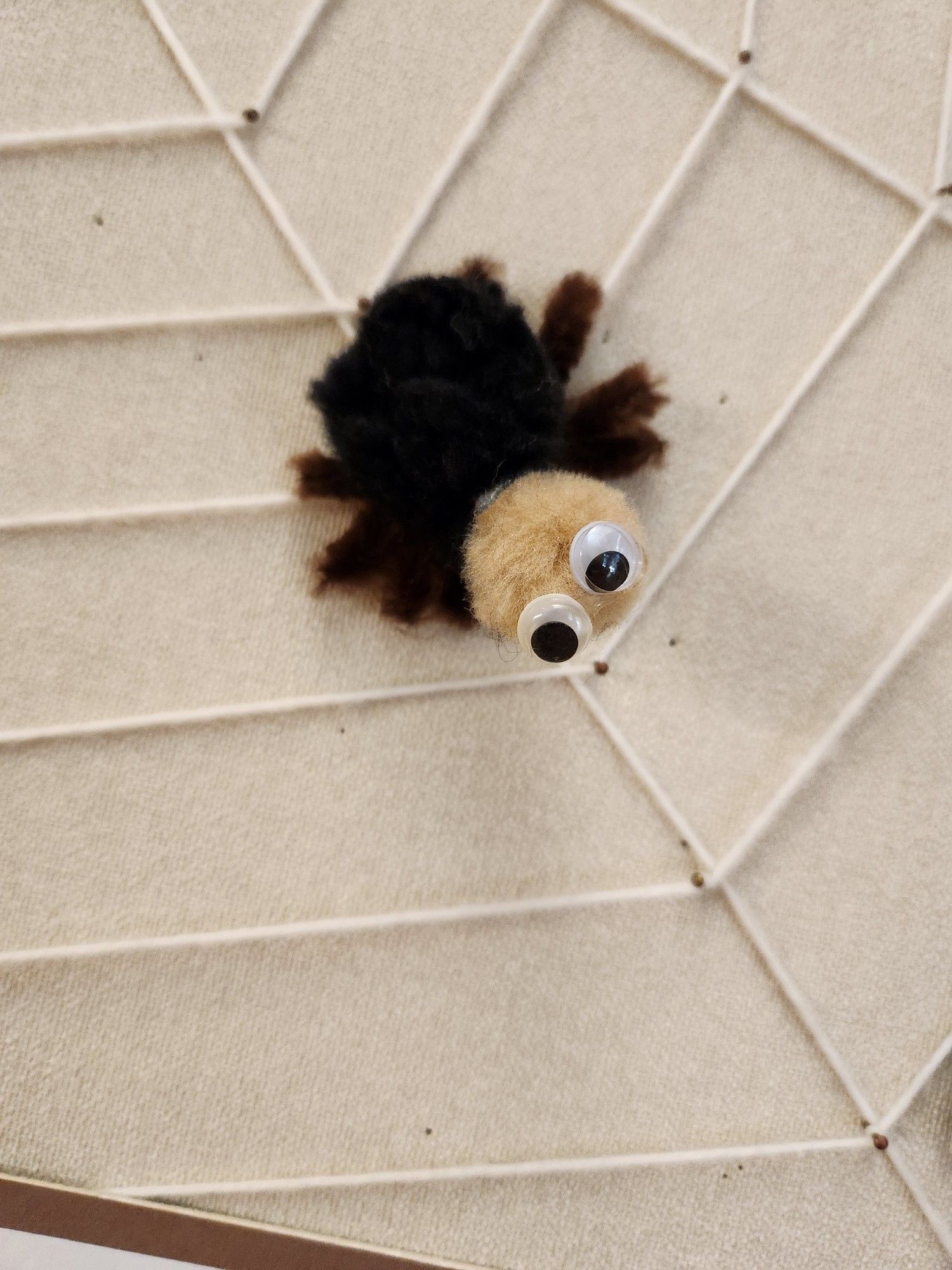 A very questionable looking fake spider made of pompoms and pipe cleaners with googly eyes, hanging from a string spider web