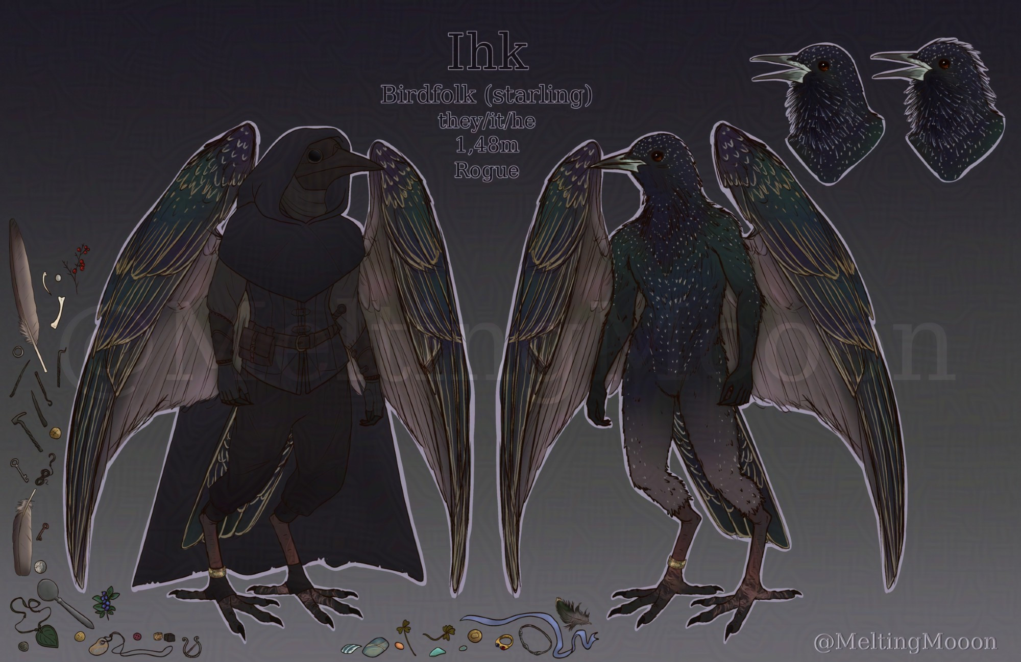 Digital art. Character reference sheet of a Birdfolk person (anthropomorphic bird). They are depicted two times. Once on the left with clothes and mirrored on the right without clothes. They resemble a starling. Their clothes are different shades of black. On the top right their head is displayed two times, with different variation of feather volume while talking or mimicking sound. On the left side around the figure are various items and trinkets. The text in the middle says "Ihk. Birdfolk (starling). They/it. 1,48m. Rogue."
 They wear a hooded cape that covers their head and shoulders. They wear a plague doctor mask with a big beak. Their neck is covered with a scarf. They also wear a long sleeved shirt and over that a sleeveless leather jerkin. Their pants are loose and knee length. They have leather coverings on their feet and fingerless leather gloves on their hands.