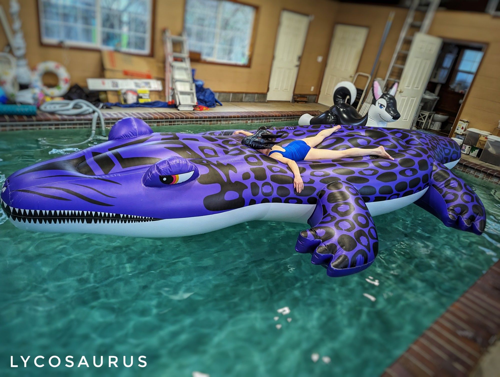 Lyco laying on a ridiculous giant gator inflatable