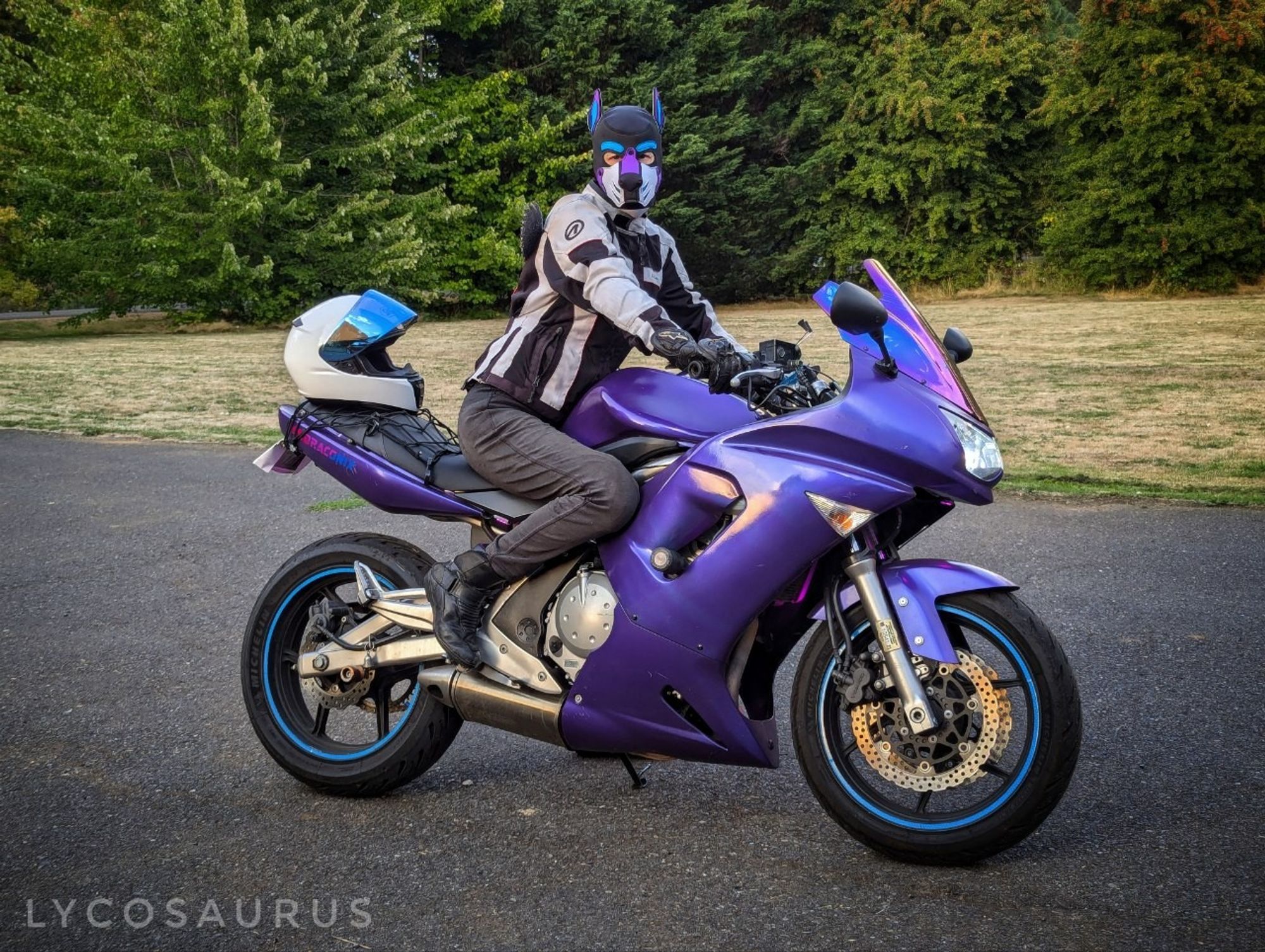 Posing in pup gear with my motorcycle