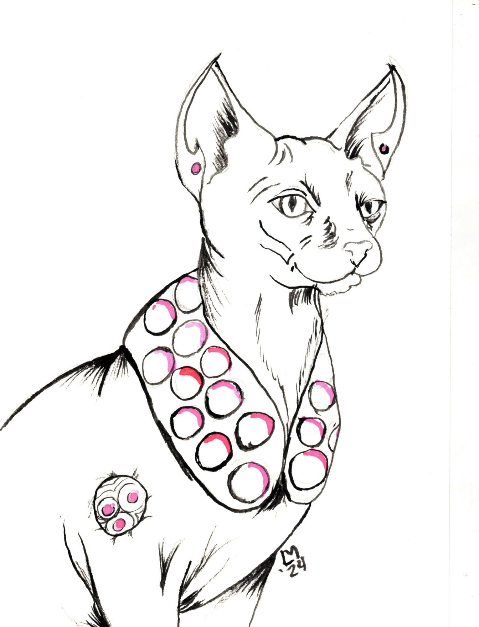 Pen-and-ink portrait of a hairless cat sitting looking off into the distance. The cat wears ear cuffs and a stole with discs on it highlighted in pink in. He has a disk embedded into his near shoulder visible as well.