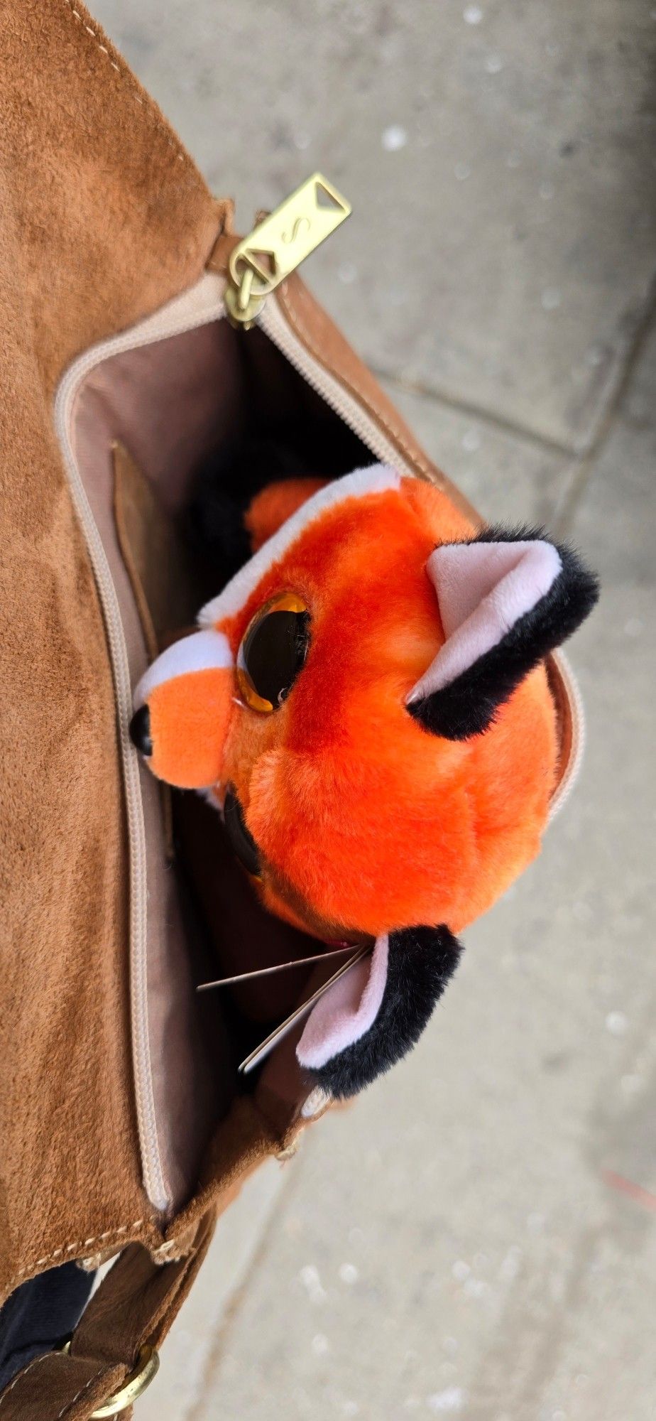 Fox TY plushie in Lila's brown leather purse