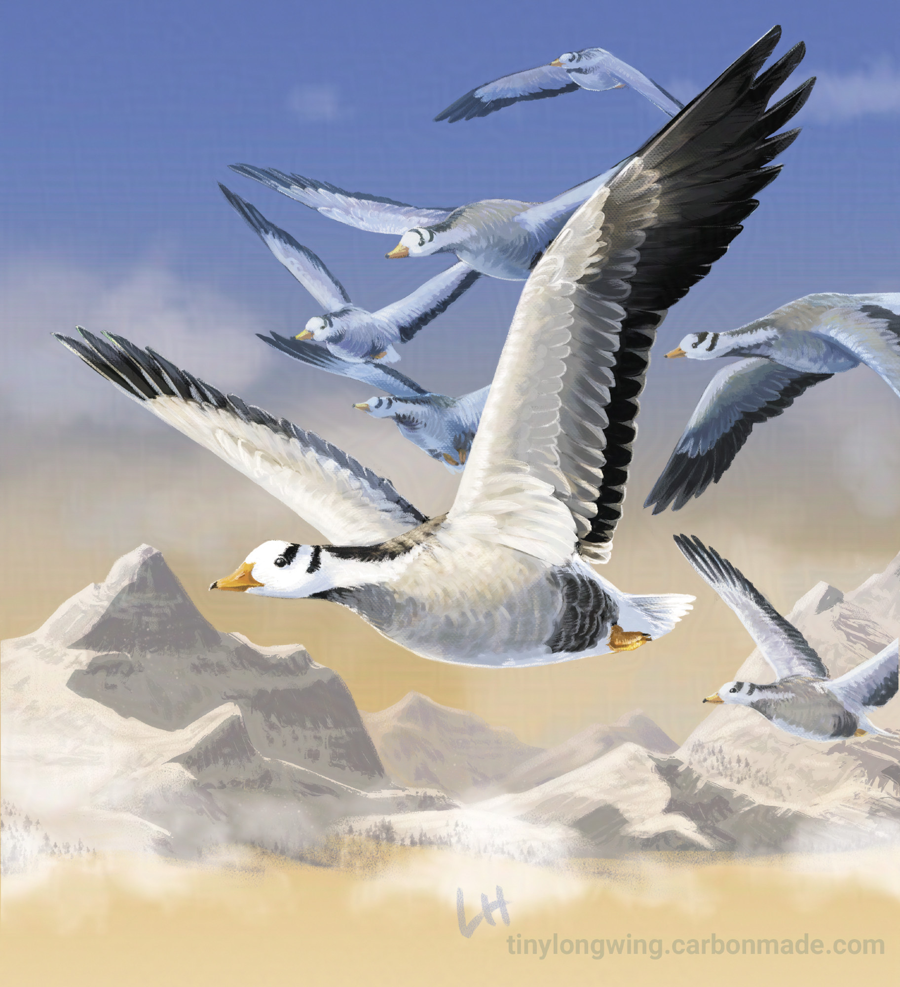 Digital illustration of a flock of Bar-headed Geese, a mostly gray goose with a white head with two black stripes on it. Their wings are spread wide to catch the thin air that will lift them over jagged snowy Himalayan peaks and clouds below.