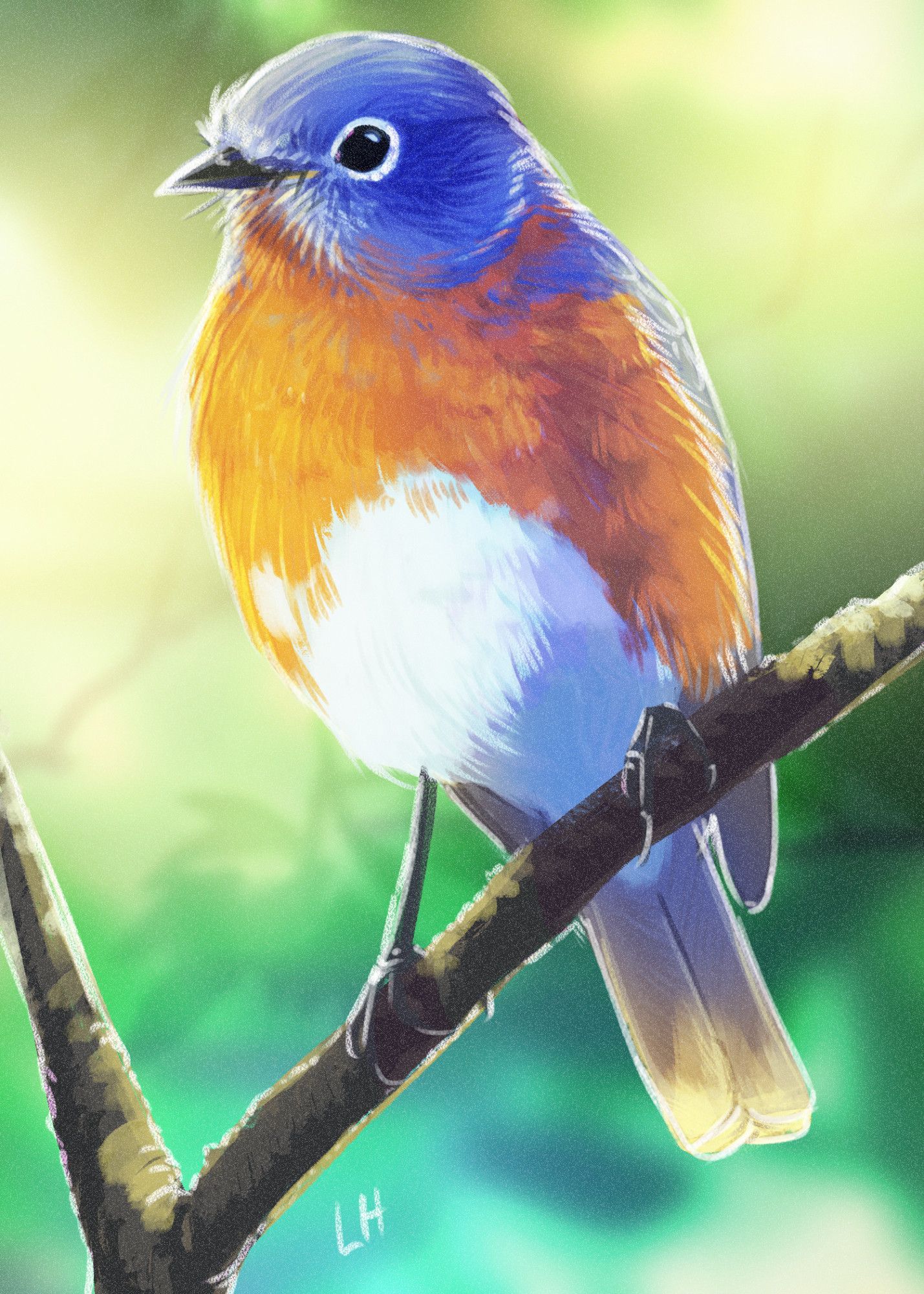 Digital illustration of an Eastern Bluebird male in soft yellow lighting. His blue head, red-orange breast, and white belly stand out against the green and yellow background with its suggestion of leaves and branches behind.