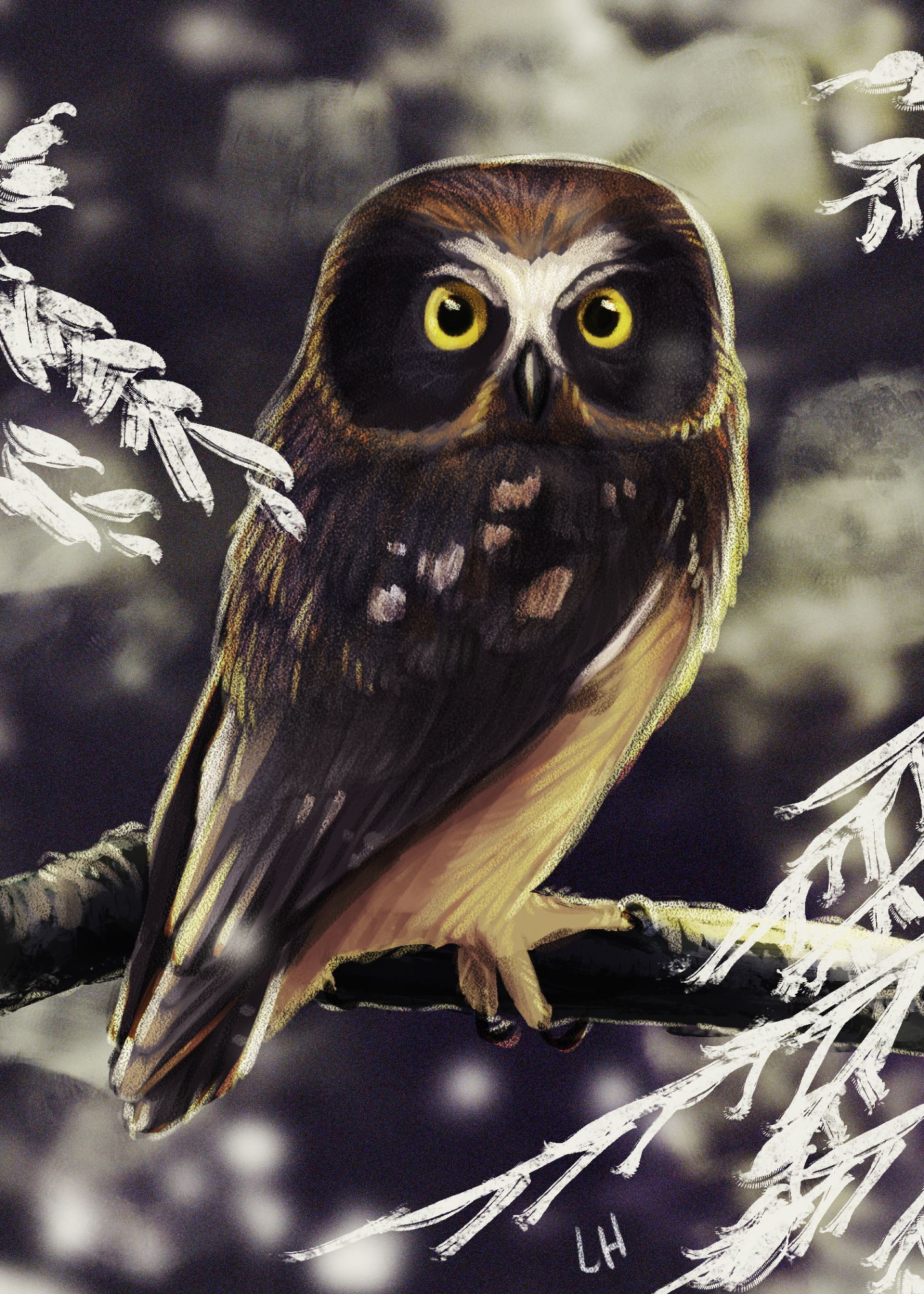 Digital illustration of a juvenile Northern Saw-Whet Owl looking directly at the viewer. It clings to a single branch in the shadows, only very slightly obscured by impressionistic bright white cedar branches. The background is a mottled mix of light and shadow. The bird, a very small owl, has a large head with two golden eyes.