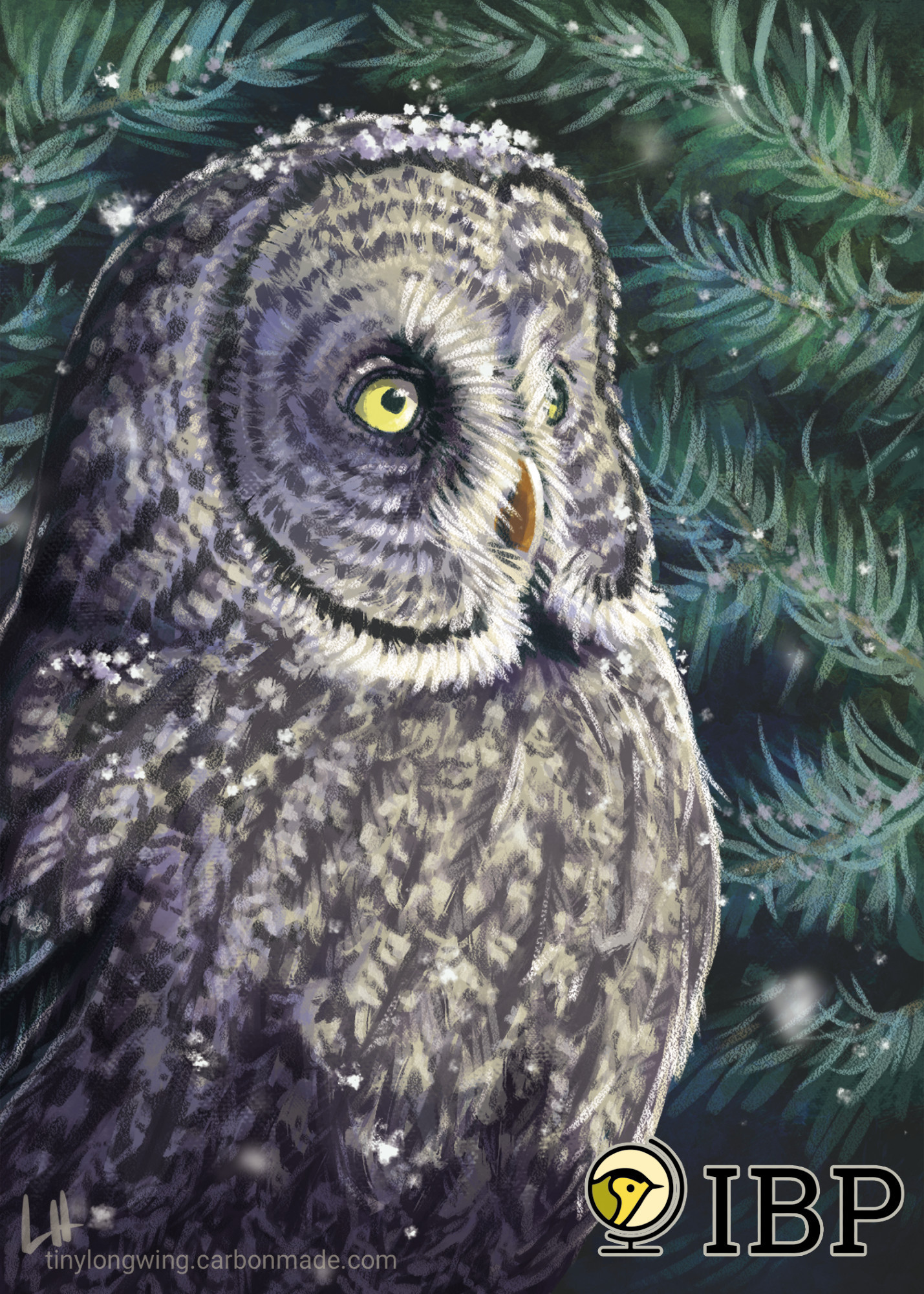 A digital illustration of a Great Gray Owl facing right. Its bright yellow eyes stand in contrast to the mottled gray feathers. Light snow dusts the owl's head and the background of conifer branches.