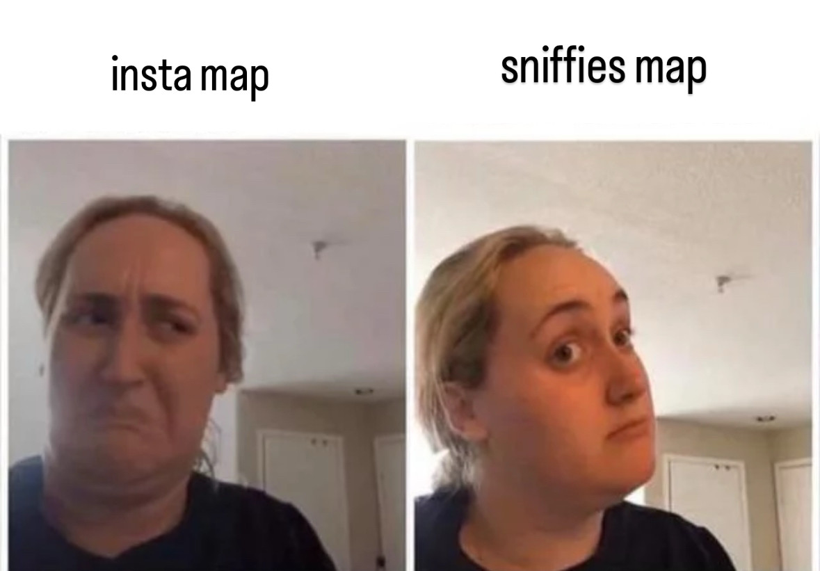 Brittany Broski meme, also known as "kombucha girl meme" showing disgust for instagrams maps but approves sniffies map. 