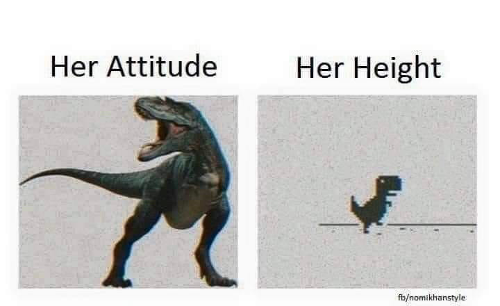 On the left, a picture of a ferocious TRex with a heading that reads: Her Attitude. On the right, a small cute TRex with a heading that reads: Her Height.