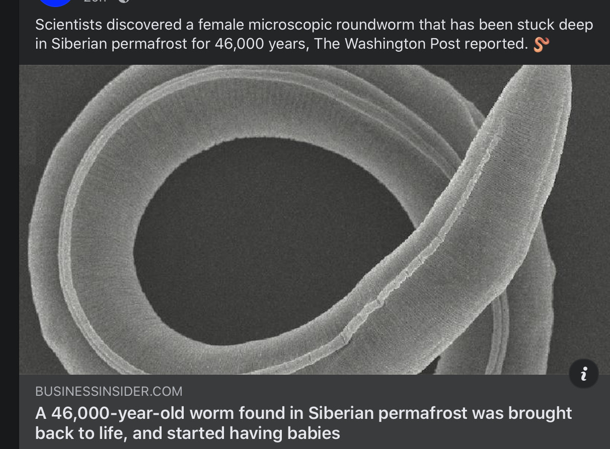 a 46,000 year old worm found in Siberian permafrost was brought back to life, and started having babies.