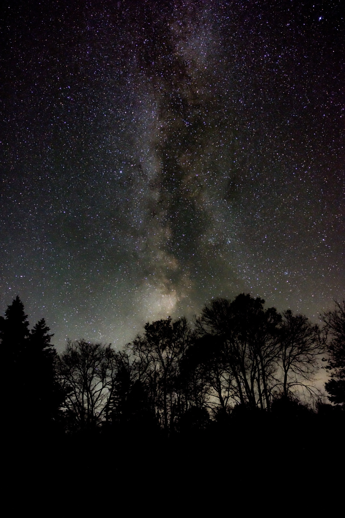 A nighttime photo of the galactic core of the Milky Way. Silhouettes of trees make up the foreground at the horizon.