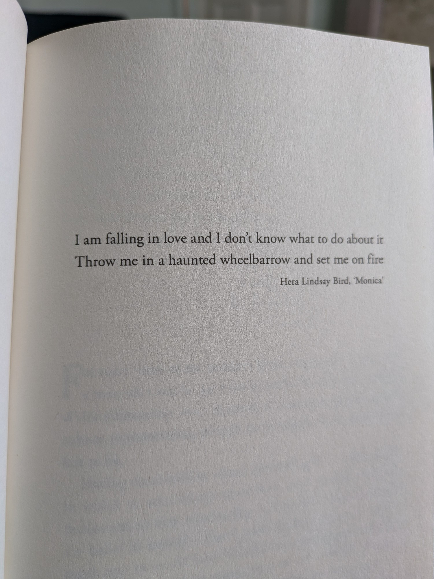 I am falling in love and I don't know what to do about it 
Throw me in a haunted wheelbarrow and set me on fire

Hera Lindsay Bird, 'Monica'