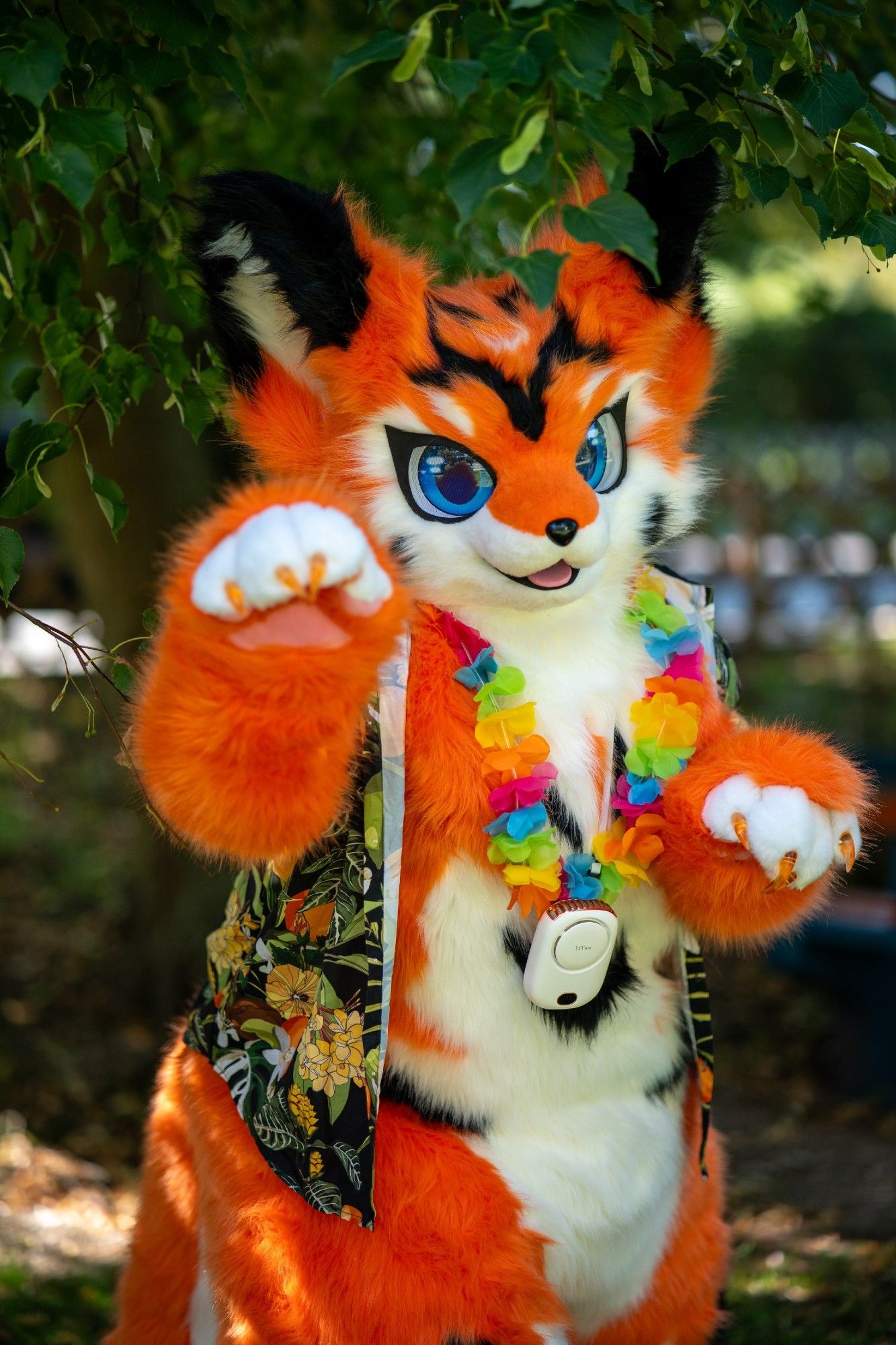 An orange fox with a white belly, blue eyes, black markings, a Hawaiian lei and a Hawaiian shirt with a floral pattern looking at the viewer