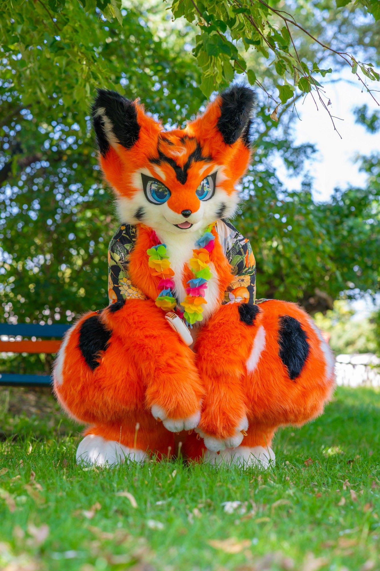 An orange-coloured fox with blue eyes and black markings is sitting on a green lawn. He is wearing an open Hawaiian shirt with white flowers and orange fruits and a lei with colourful flowers around his neck.