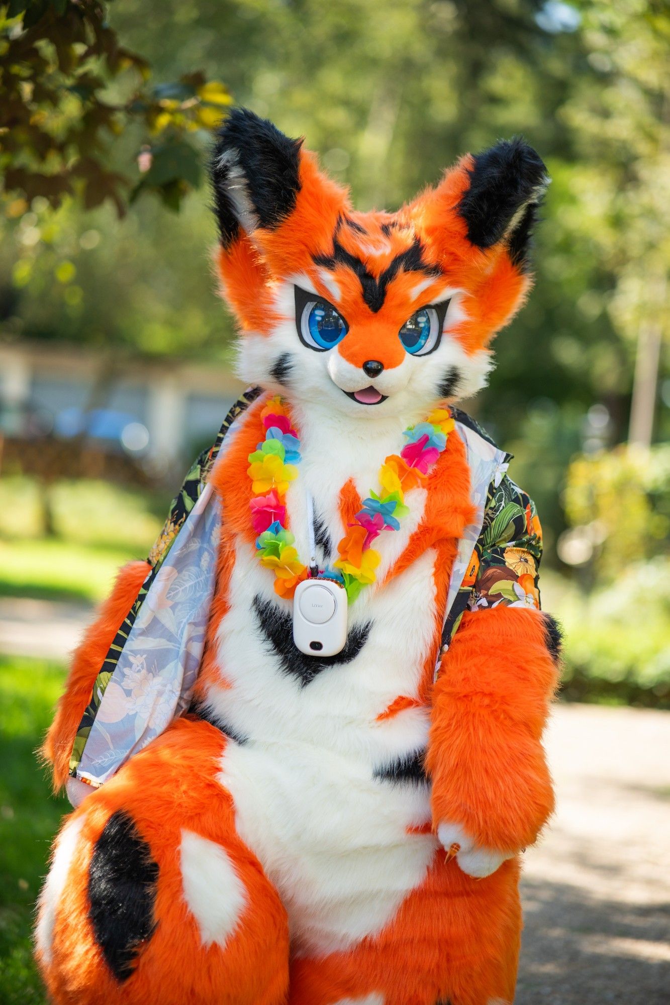 An orange fox with large blue eyes, black ear tips, and colorful tropical shirt and lei, standing outdoors on a sunny day.