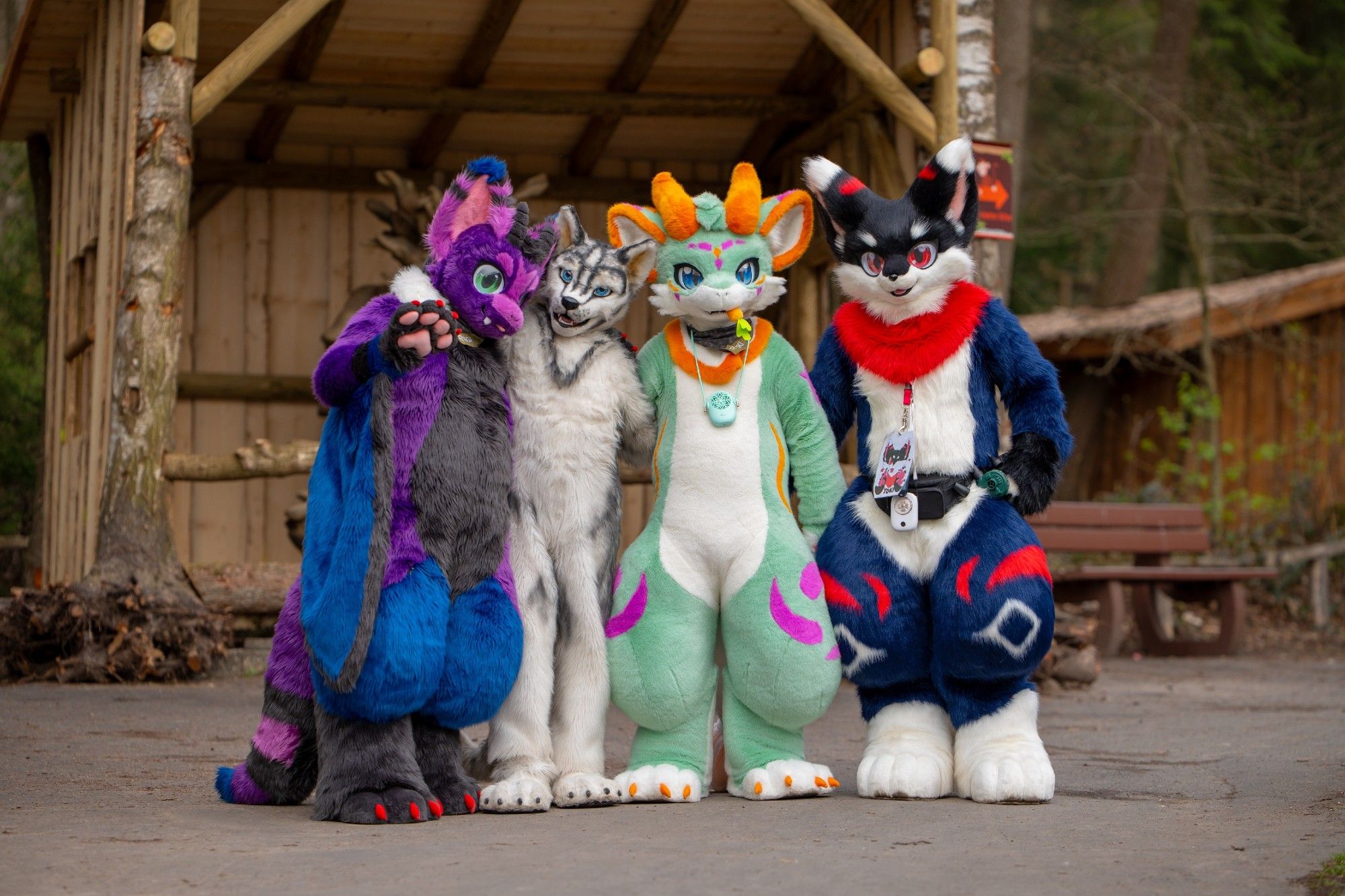 A group consisting of a purple bat dragon with green eyes and small gray horns, a white and gray husky, a furred green dragon with blue eyes, a carrot in its mouth and orange horns and a dark blue cat with a white belly, black head, red fluff on its neck and red markings standing in front of a small shelter and looking at the viewer.