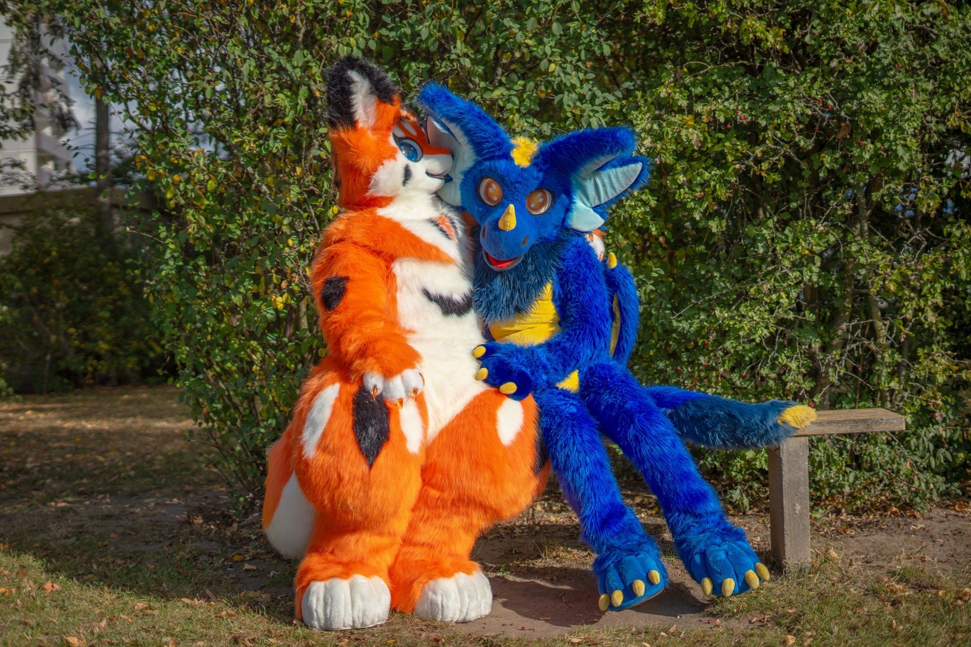 An orange fox with blue eyes and a blue dragon with yellow eyes sitting on a bench. The fox is whispering something into the dragons ear.