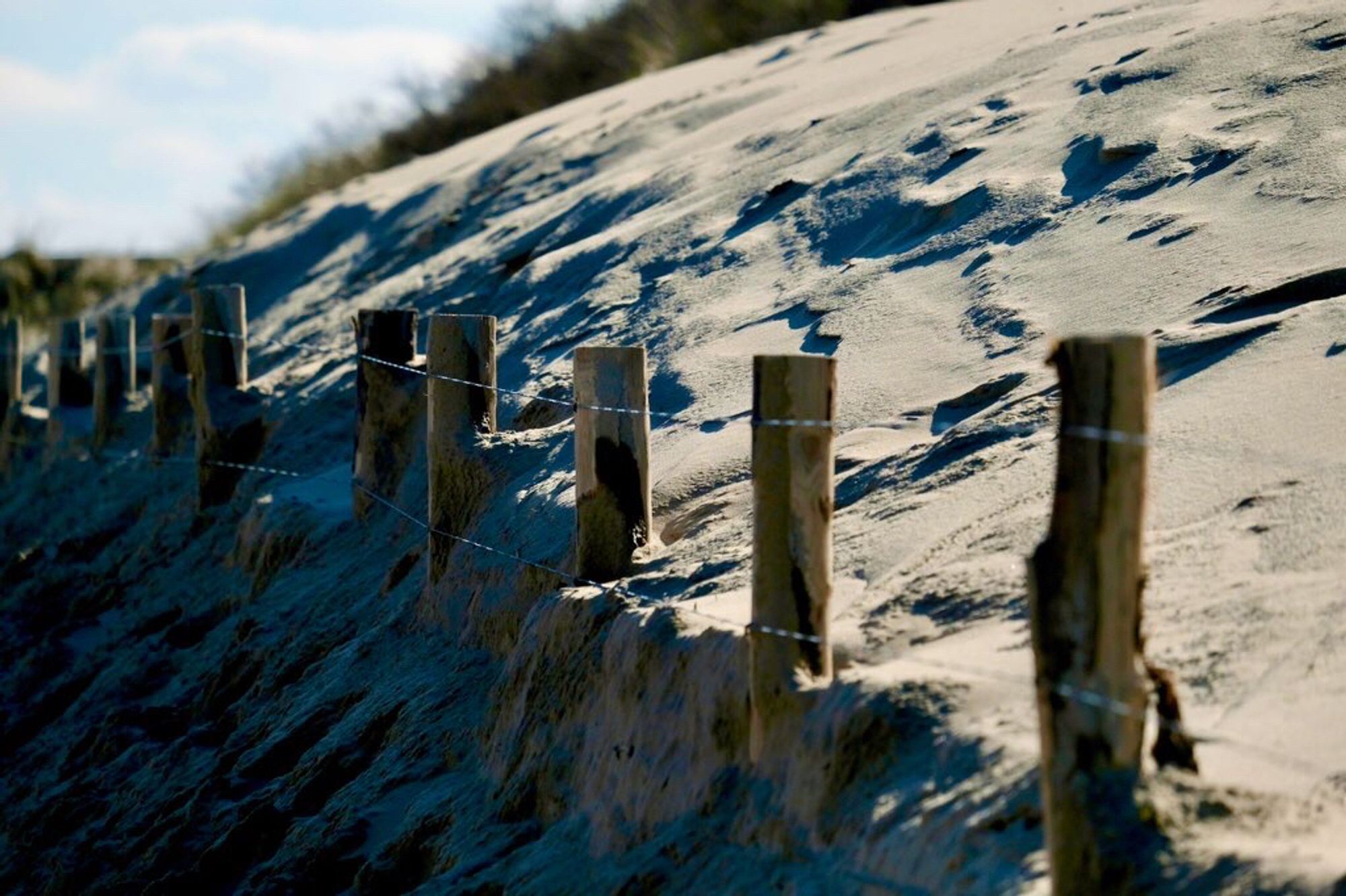 Paaltjes aan de rand van de duinen