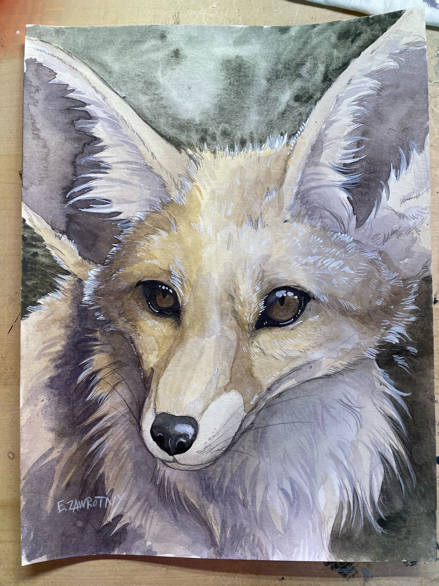 watercolor painting of a fennec