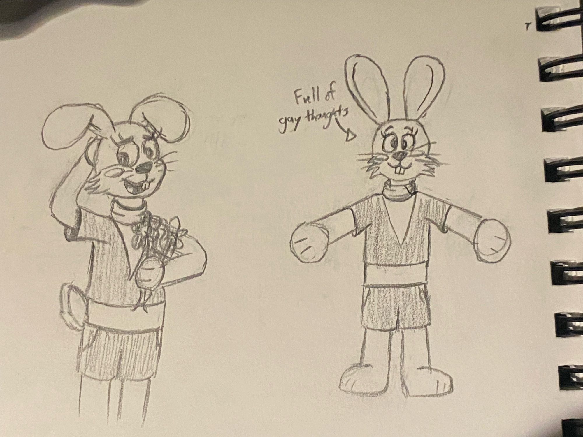 Drawings of Zayats from the Russian cartoon “Nu Pogodi!”