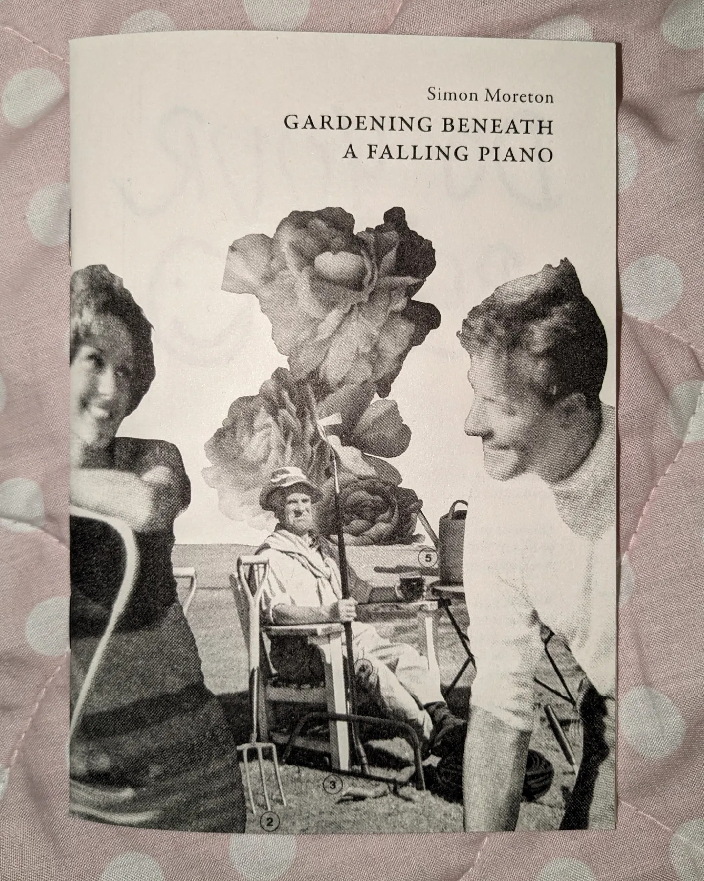 Cover of Simon Moreton's Gardening Beneath a Falling Piano