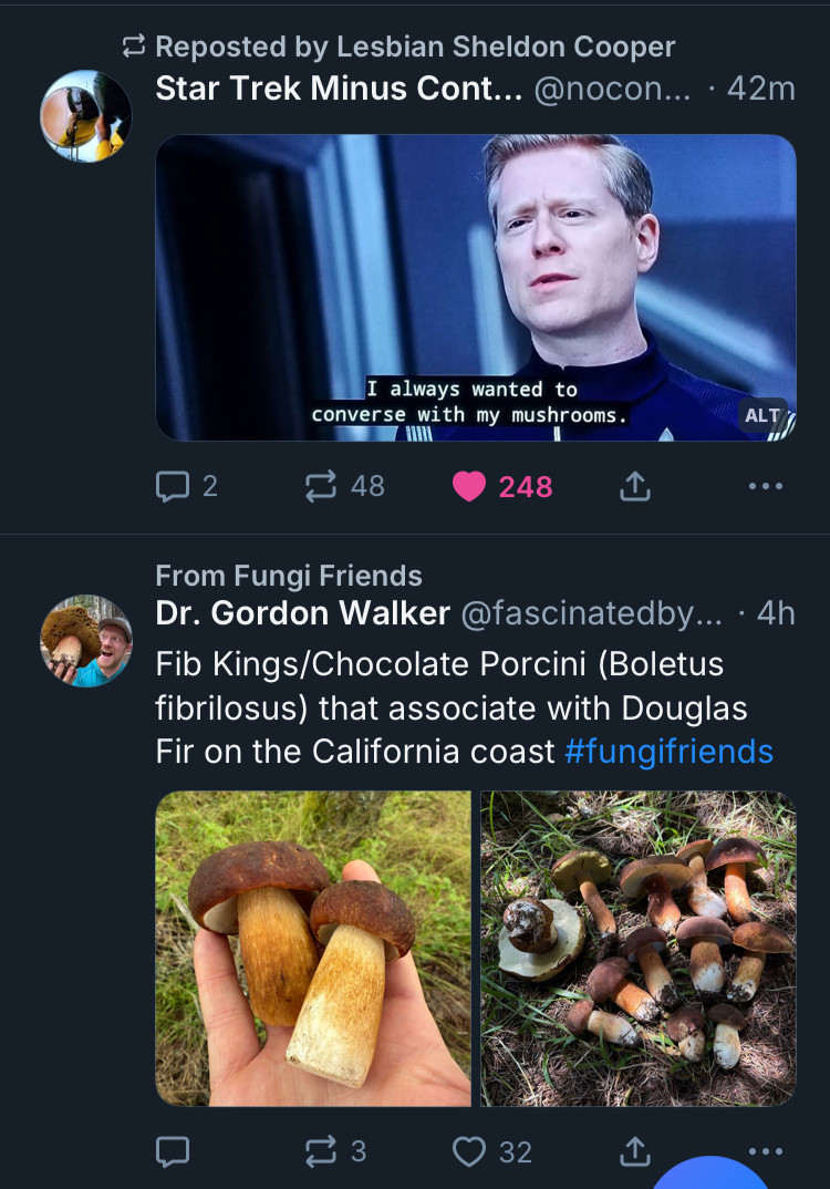 screenshot of my bluesky app.

first skeet is an image post: Reposted by Lesbian Sheldon Cooper
Star Trek Minus Cont.. @nocon.. • 42m

screencap of paul stamets from star trek: discovery with the caption, “always wanted to converse with my mushrooms.”

next skeet is also an image post: 
From Fungi Friends
Dr. Gordon Walker @fascinatedby... • 4h
Fib Kings/Chocolate Porcini (Boletus fibrilosus) that associate with Douglas
Fir on the California coast #fungifriends.

a photo of two large mushrooms with brown caps on someone’s palm, then a photo of a bunch of picked mushrooms laid out on the ground.