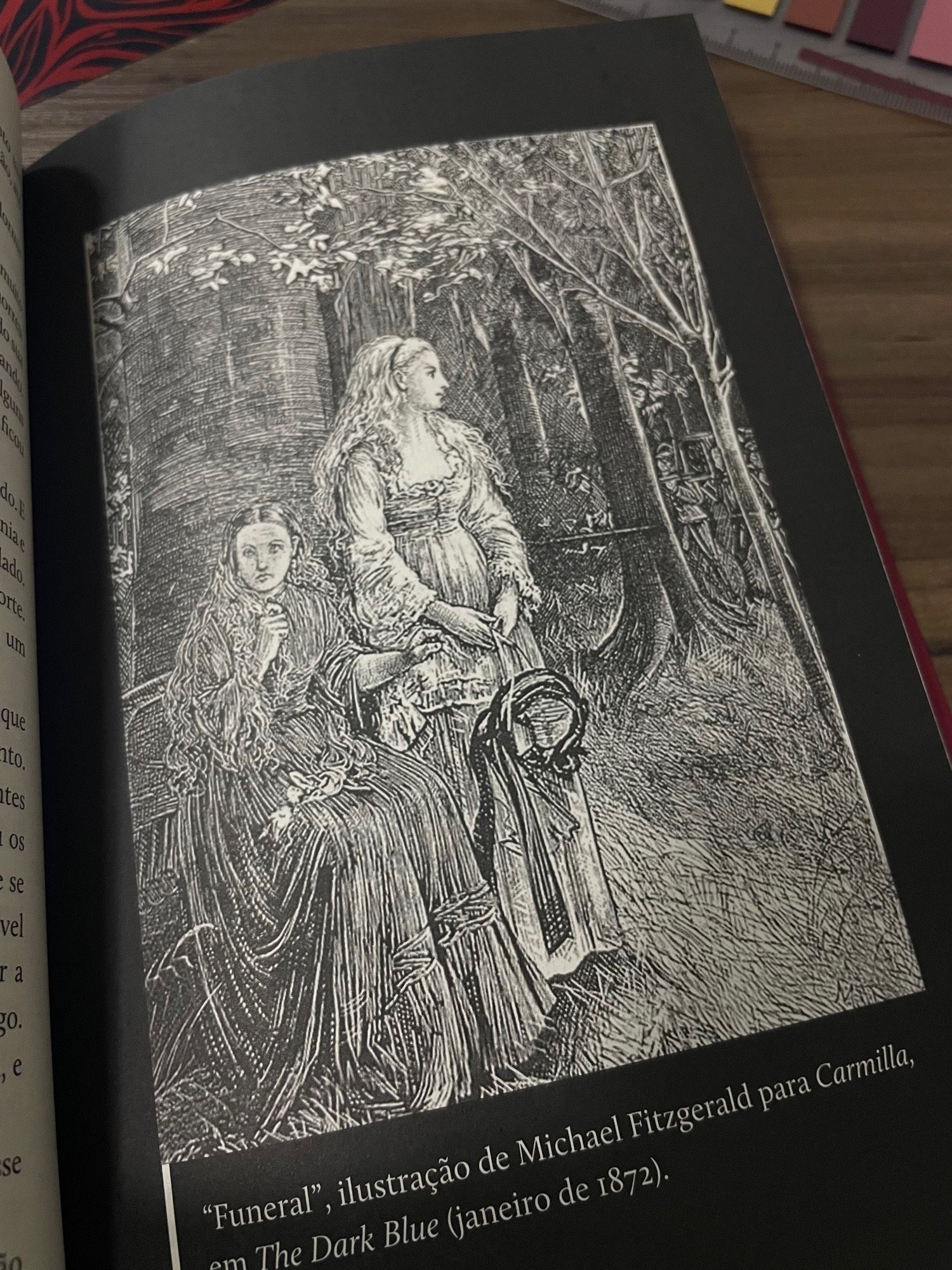 Uma ilustração retirada do livro “Carmilla”. Carmilla, de cabelos pretos e um vestido longo, está sentada em um banco, enquanto sua companhia, a jovem de cabelos loiros, está em pé. Várias árvores as cercam. Ambas estão com expressões de melancolia e desagrado.