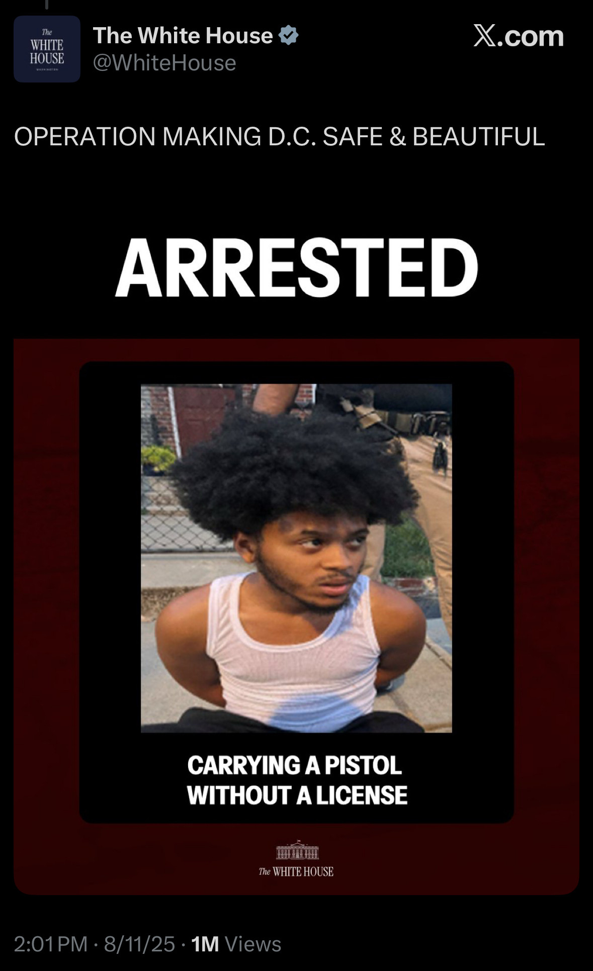 The
WHITE HOUSE
The White House V*
@WhiteHouse
X.com
OPERATION MAKING D.C. SAFE & BEAUTIFUL
ARRESTED
CARRYING A PISTOL
WITHOUT A LICENSE
The WHITE HOUSE
2:01 PM • 8/11/25 • 1M Views