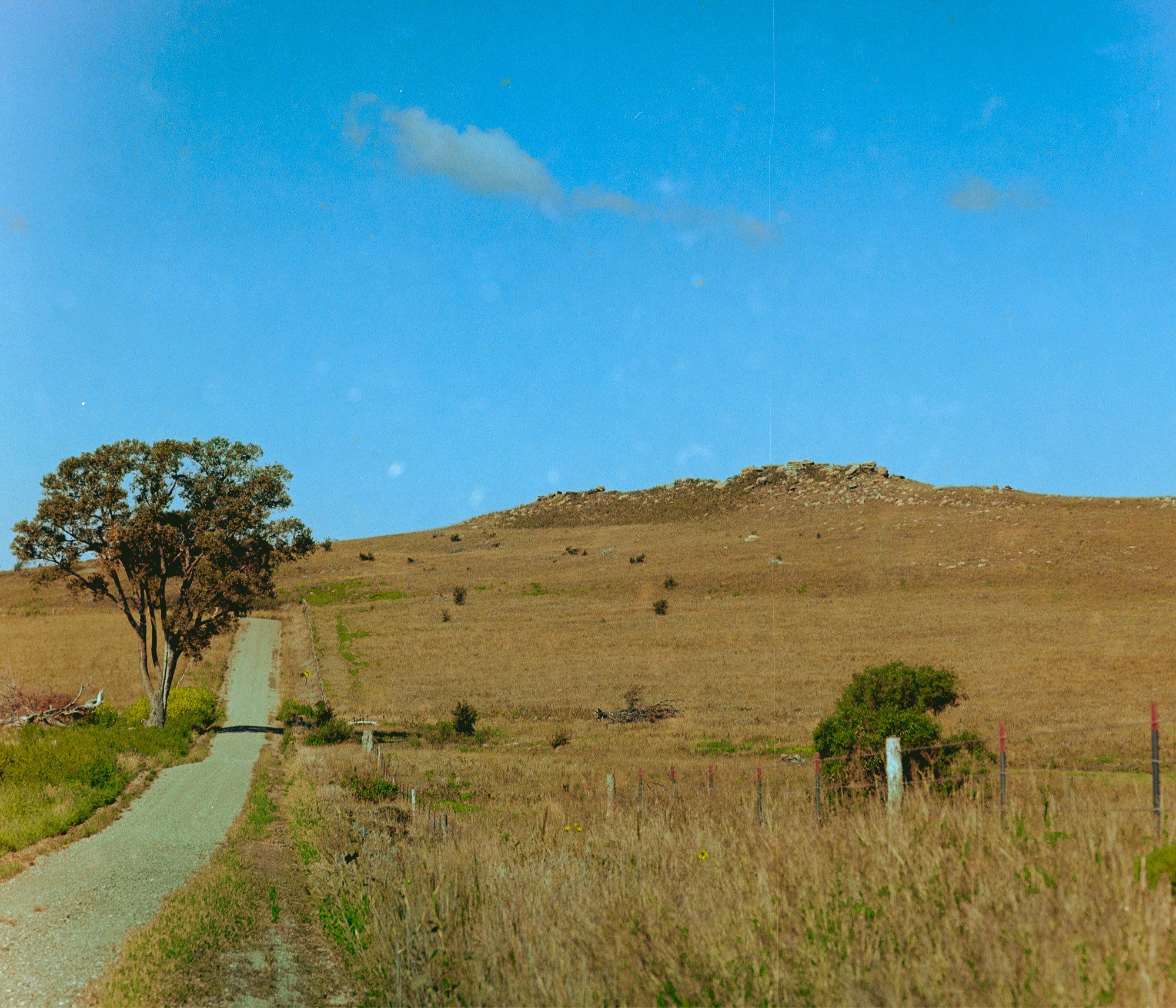 Film photo of a rural road with a large tree and rocky hill in the mid and background.