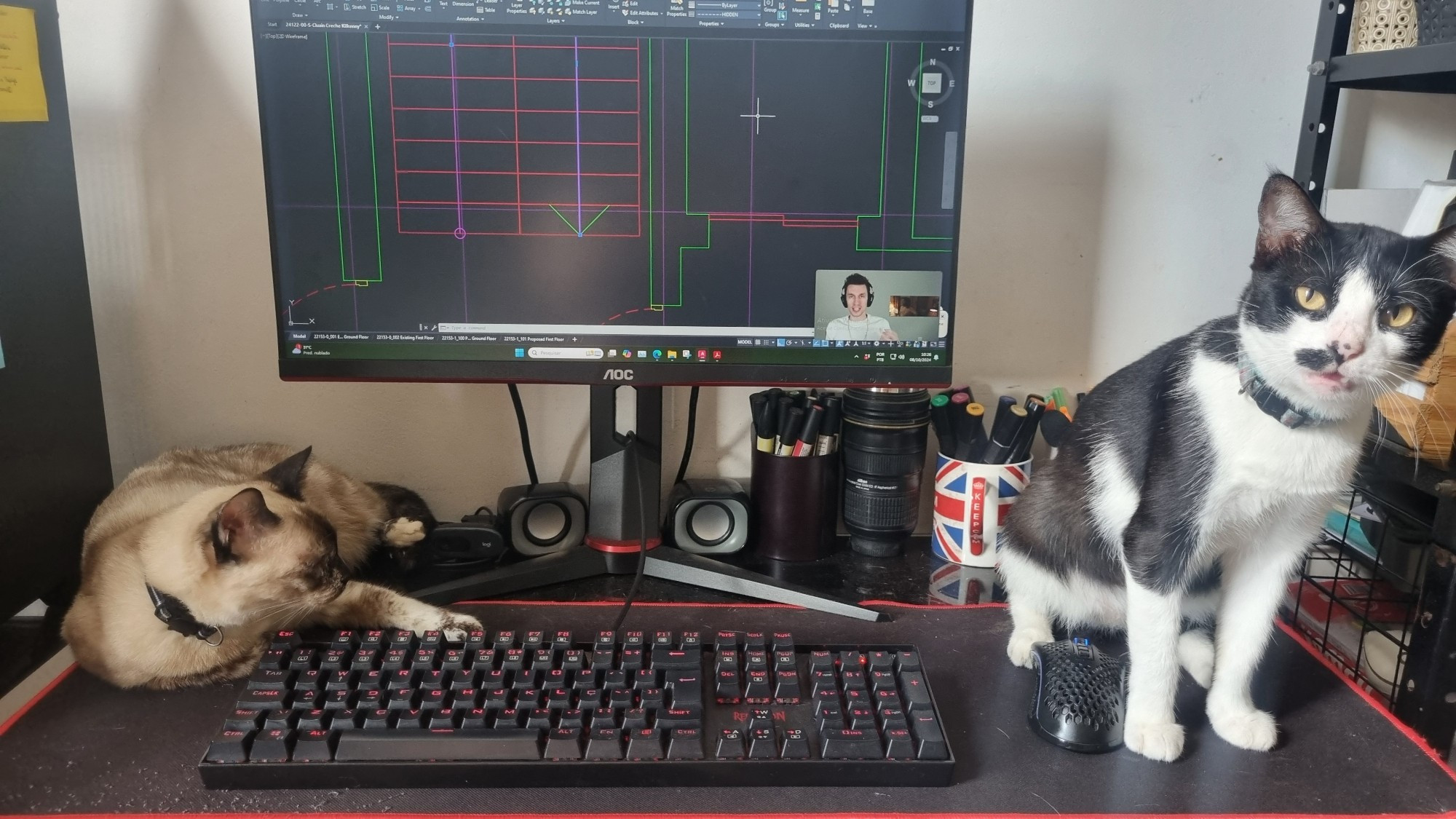 2 cats in desk blocking the keyboard and the mouse