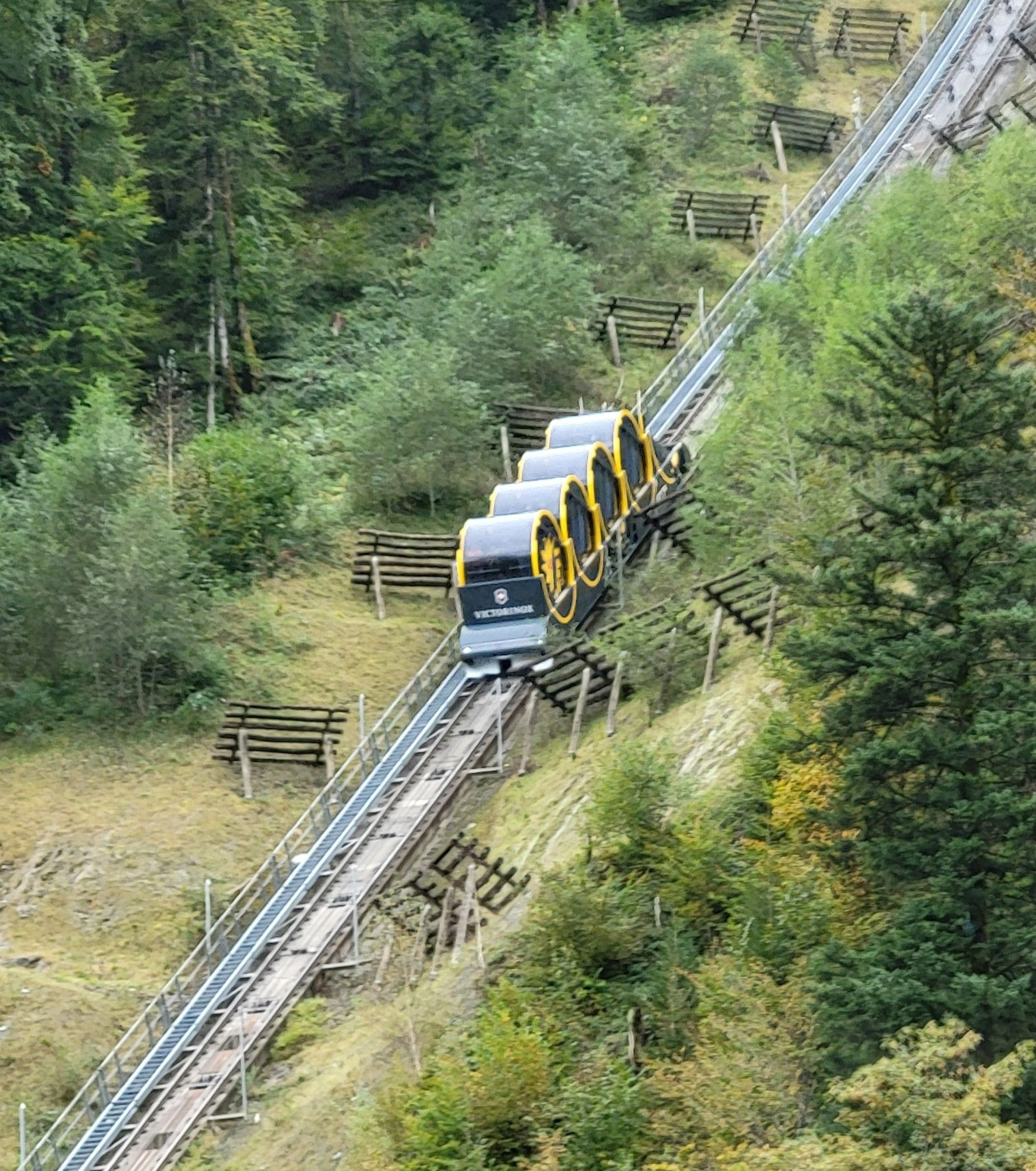 A funny looking "train" on an extremely steep rail track. The Train has four round, clear, glass cylinders perched on it horizontally, mounted so they can roll to always keep the same side down as the track increases and decreases in steepness.