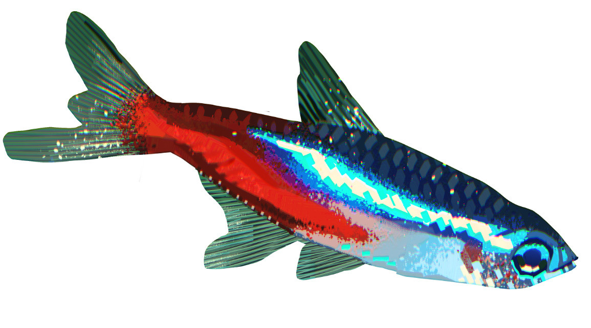 painting of a neon tetra