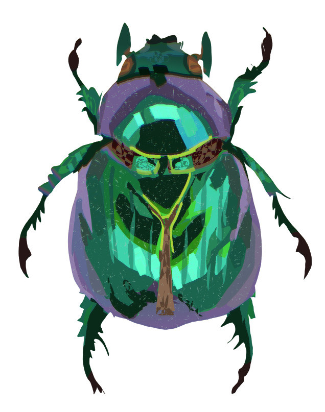 painting of a jewel beetle