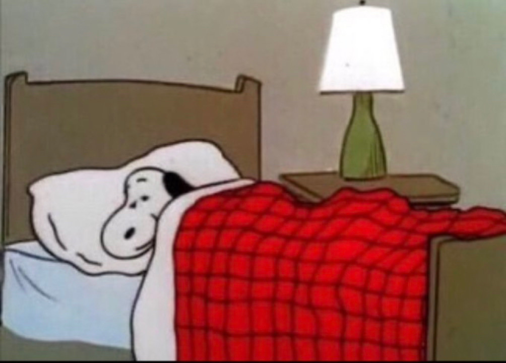 the cartoon character snoopy sleeping in bed with a red plaid comforter 