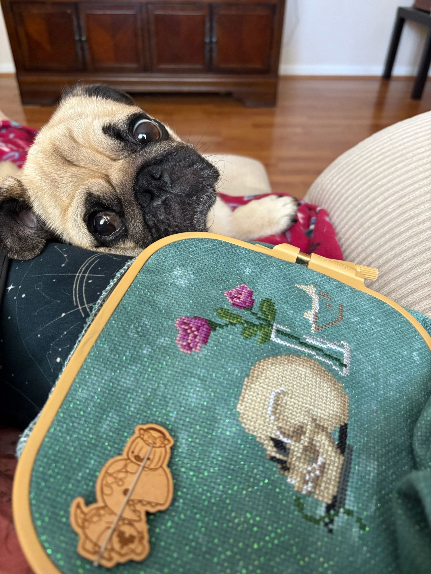 Close to the camera is an embroidery hoop with a green sparkly fabric in it. A skull and roses are stitched on the fabric. On the other side of the hoop a fawn pug stares sadly into the camera. He is resting his head on a dark green pillow.