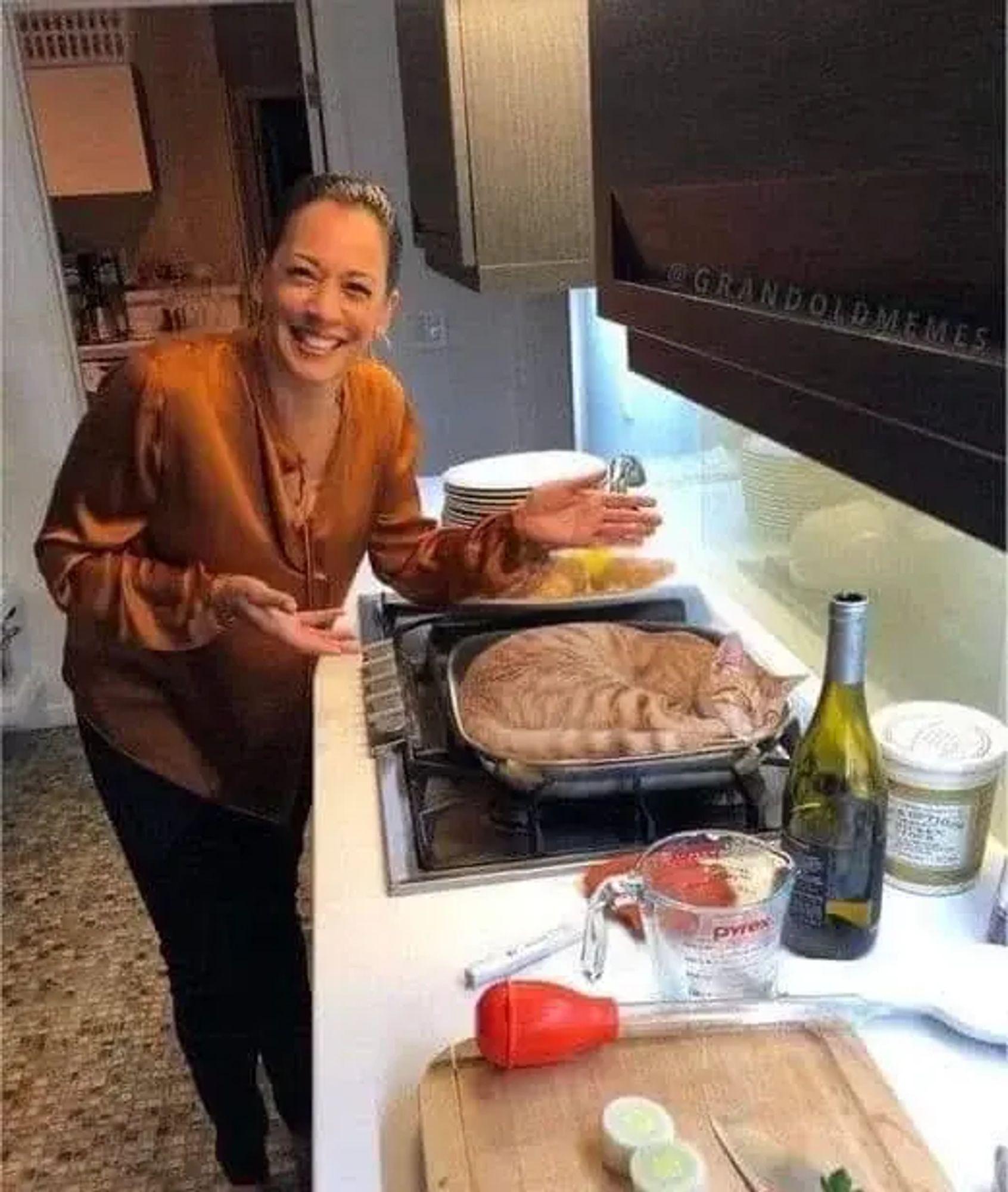 An image of Kamala Harris in a prep kitchen. She's leaning forward with a joyful expression on her face, and her hands are pointing left toward a large skillet on the stove. A sleeping cat has been photoshopped into the skillet.