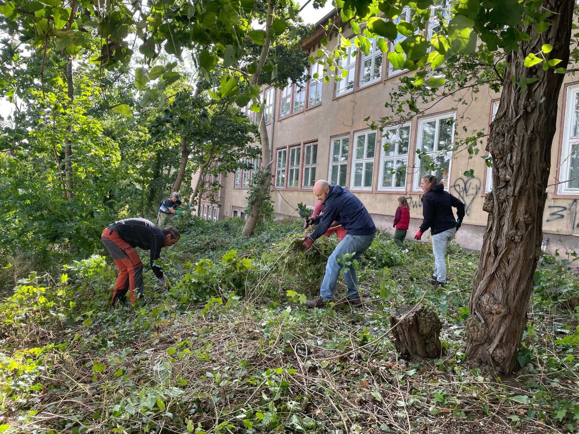 Das Bild zeigt einige Menschen, die die Grünfläche vor dem Haus tatkräftig von Wildwuchs befreien.