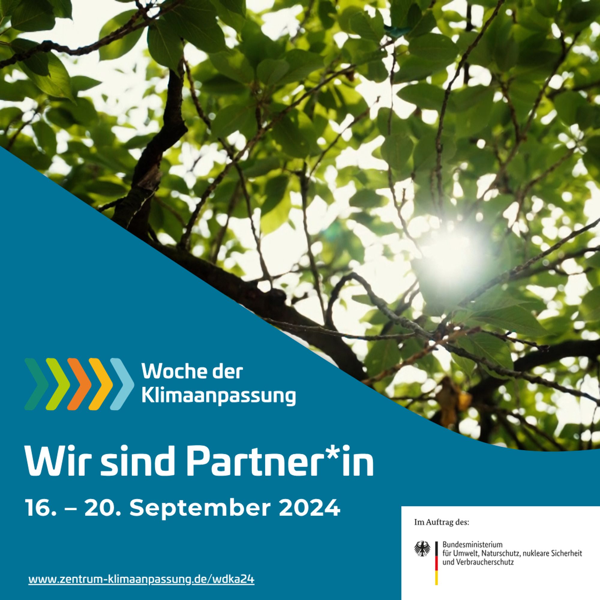 Das Bild zeigt einen Baum, durch den Sonnenlicht scheint. Darunter steht Woche der Klimaanpassung, Wir sind Partner*in, 16.-20.September 2024, www.zentrum-klimaanpassung.de/wdka24