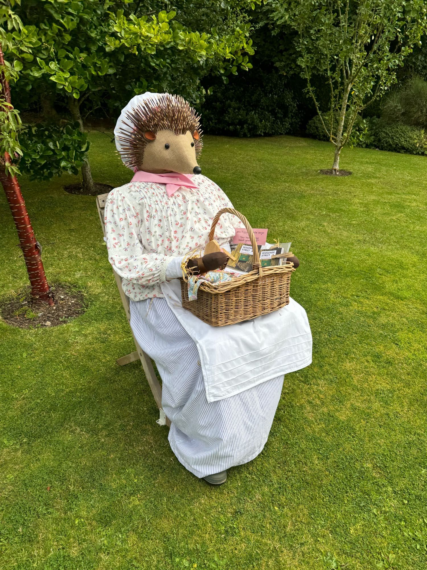 a scarecrow in the form of Mrs Tiggy-Winkle sitting with a basket of “help our hedgehogs” leaflets