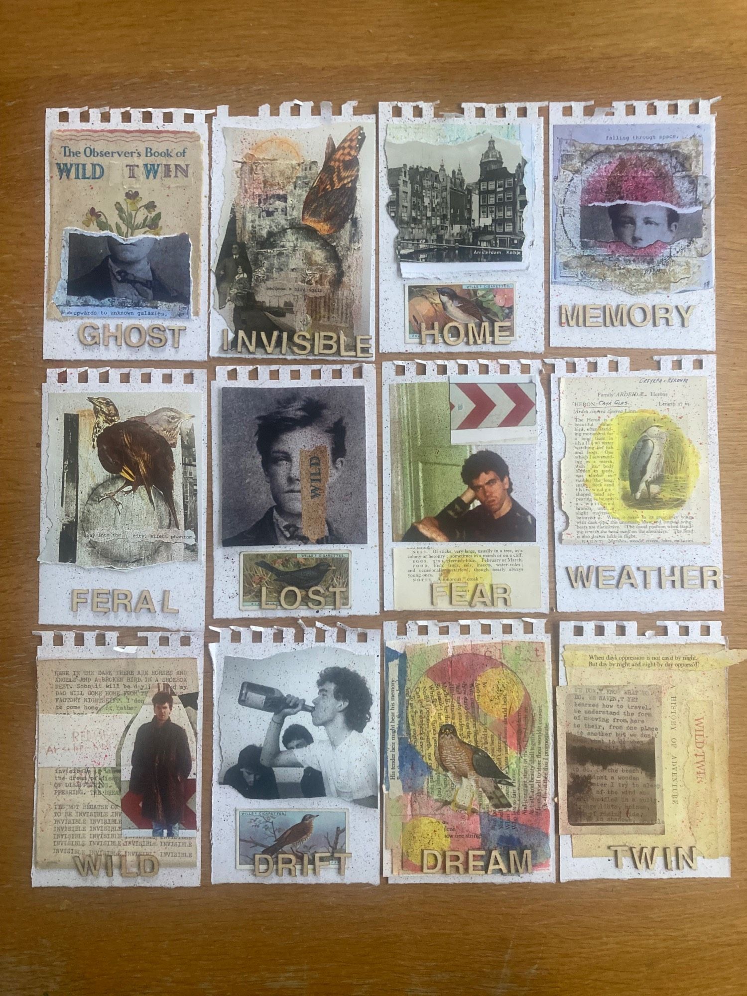 Image shows a selection of pages from one of the Wild Twin notebooks. There are 12 pages here, mostly showing collages made from old photographs, bird illustrations, typed notes, ink and paint.