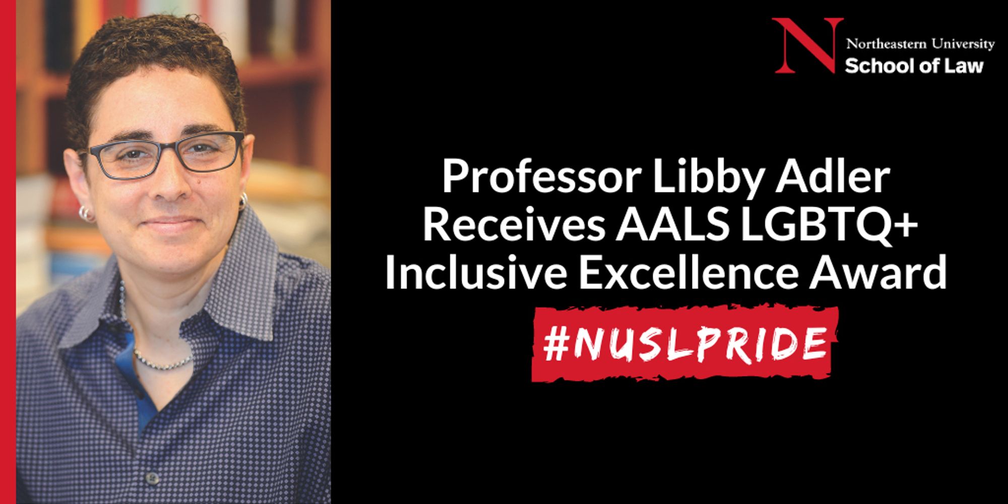 Professor Libby Adler Receives AALS LGBTQ+ Award