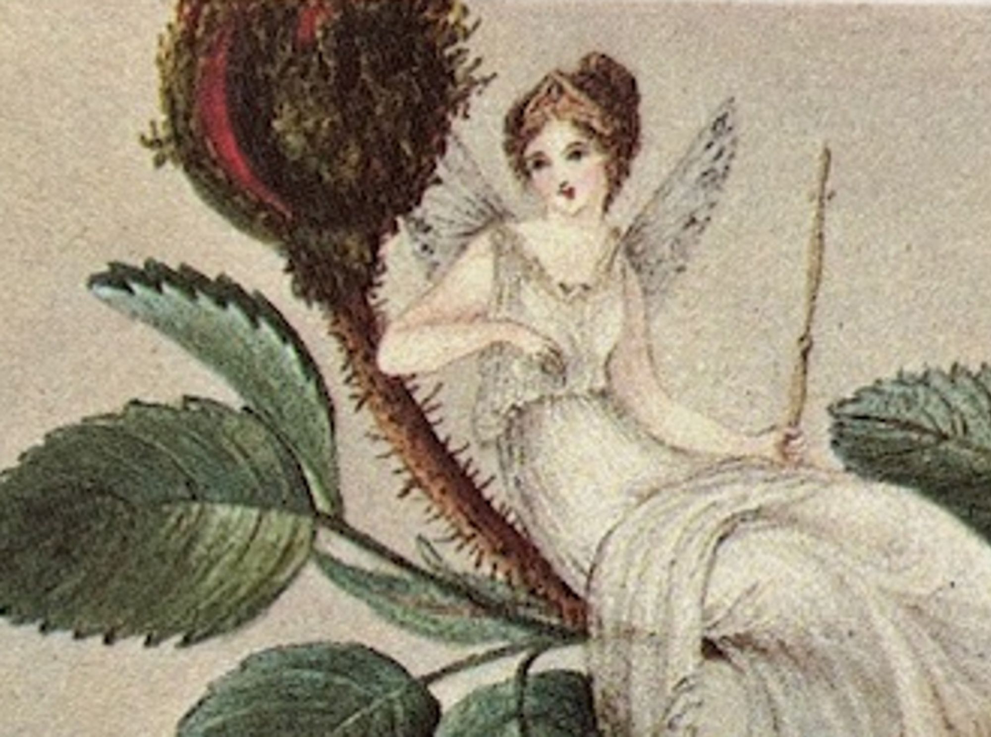 Detail of a painting by Amelia titled “Titania Regina”, showing the influence of Shakespeare’s “A Midsummer Night’s Dream” on her art. Titania, the Fairy Queen, sits a on a rose, She wears a white dress and a tiara, She olds a scepter in her hand. A shawl lays decoratively on her legs.