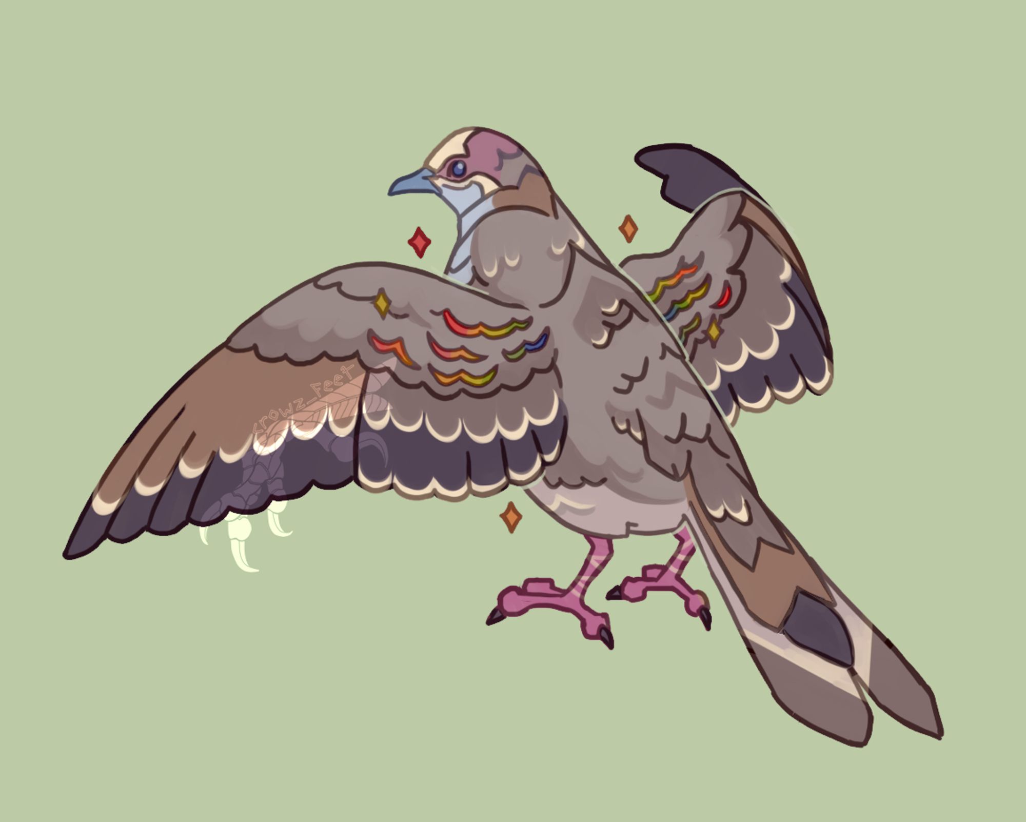 illustration of a common bronzewing