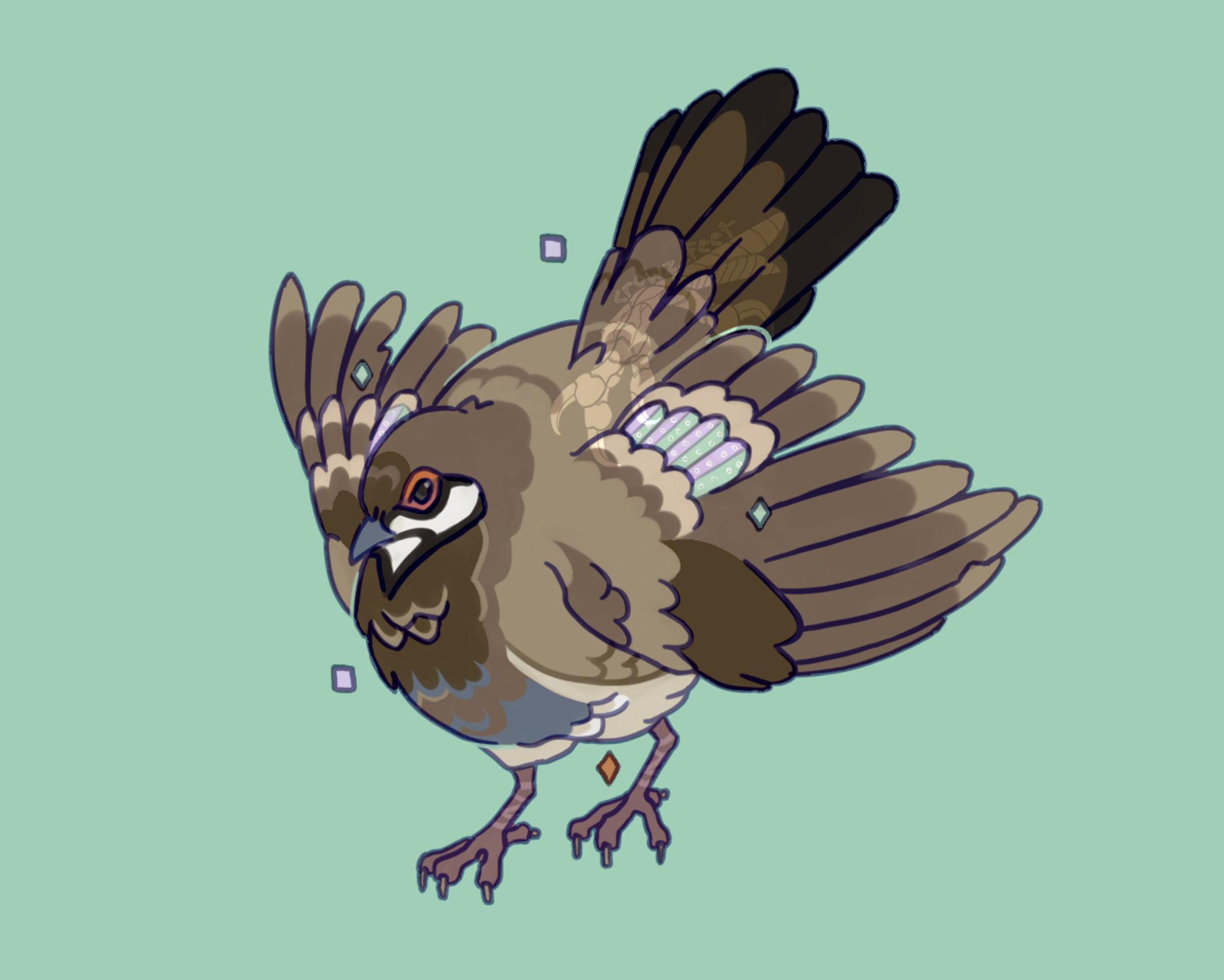 an illustration of a squatter pigeon